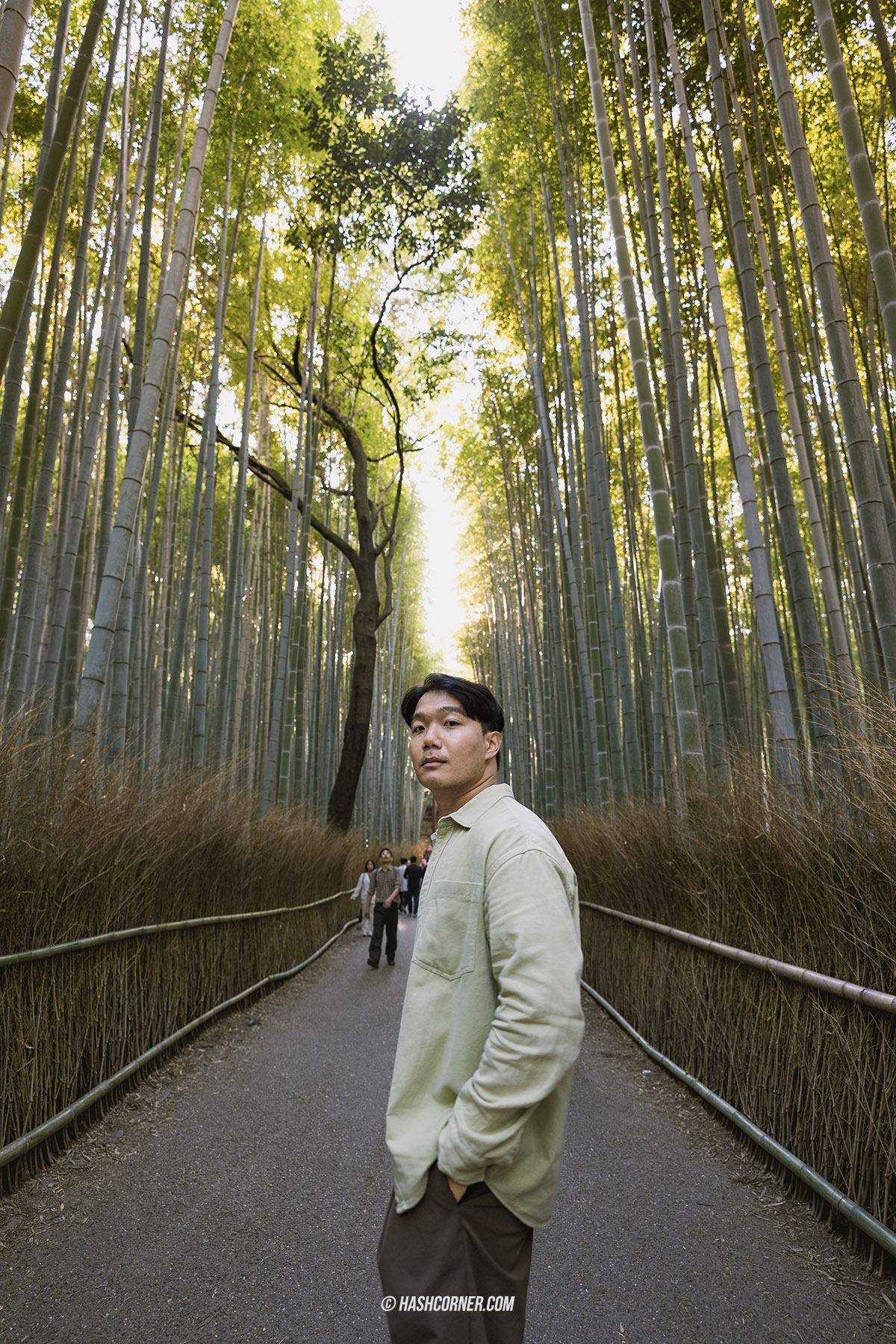 รีวิว ป่าไผ่อาราชิยาม่า (Arashiyama Bamboo Grove) x เกียวโต