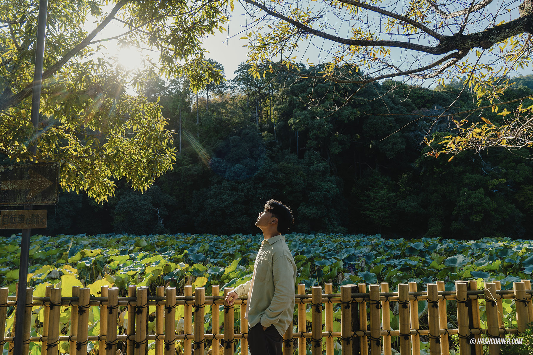 รีวิว ป่าไผ่อาราชิยาม่า (Arashiyama Bamboo Grove) x เกียวโต