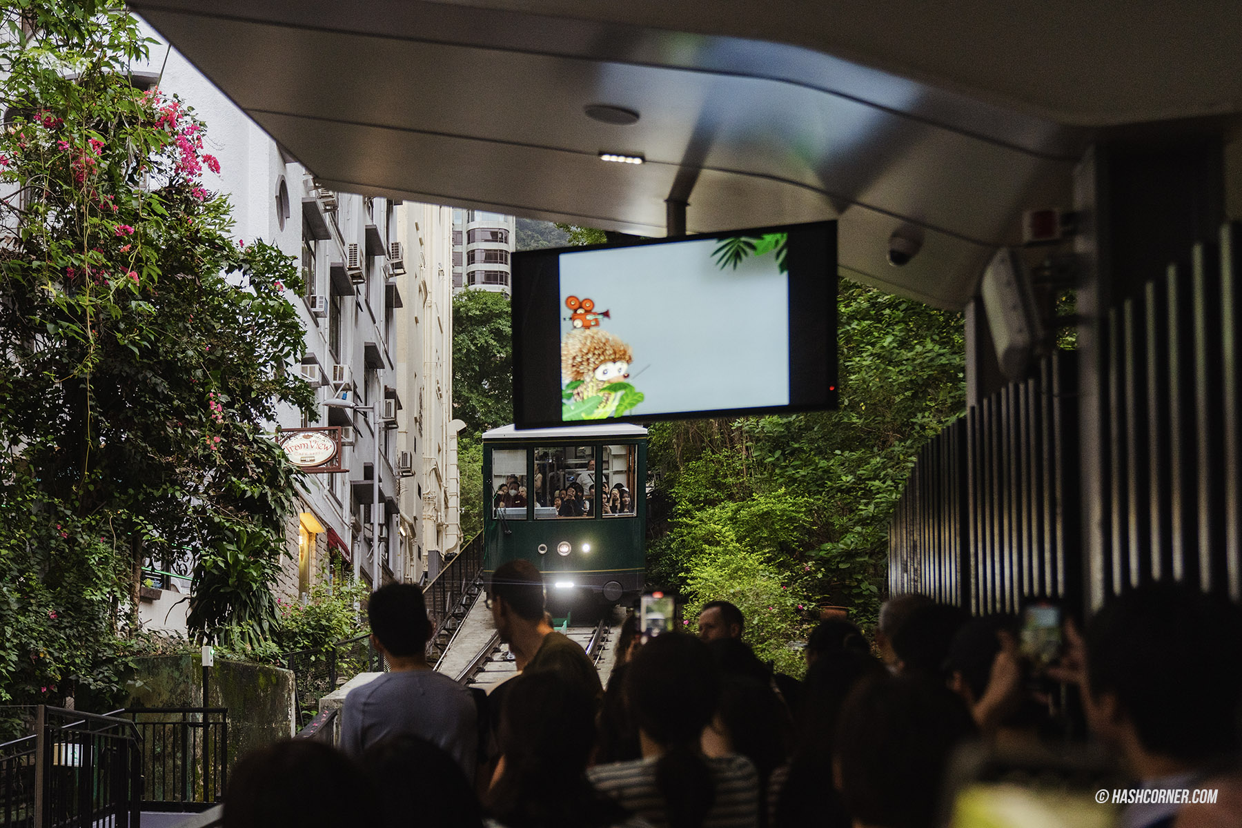 รีวิว พีคแทรม (Peak Tram) x ฮ่องกง รถรางสู่ยอดเขาสูงที่สุดบนเกาะฮ่องกง