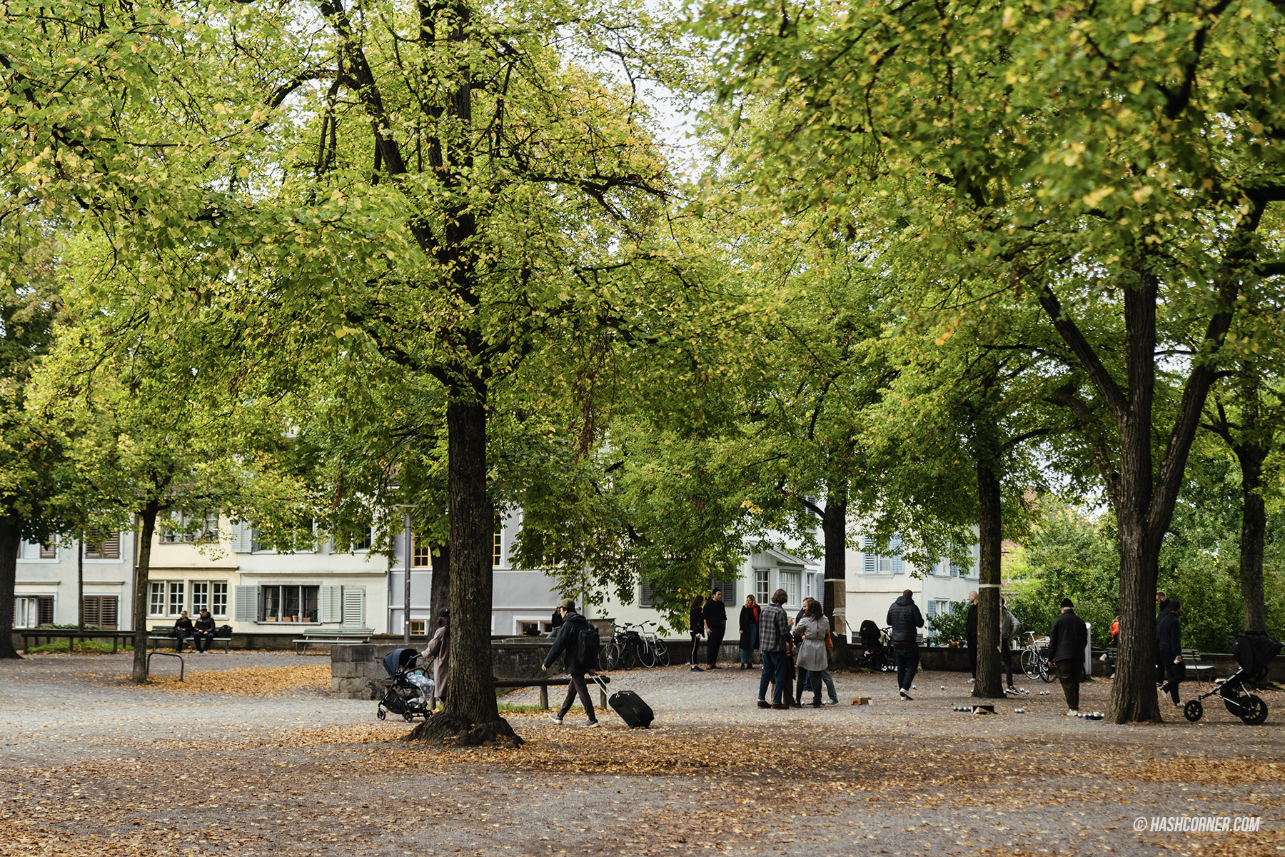 รีวิว ซูริค (Zurich) x สวิตเซอร์แลนด์ เที่ยวเมืองดินแดนสวรรค์
