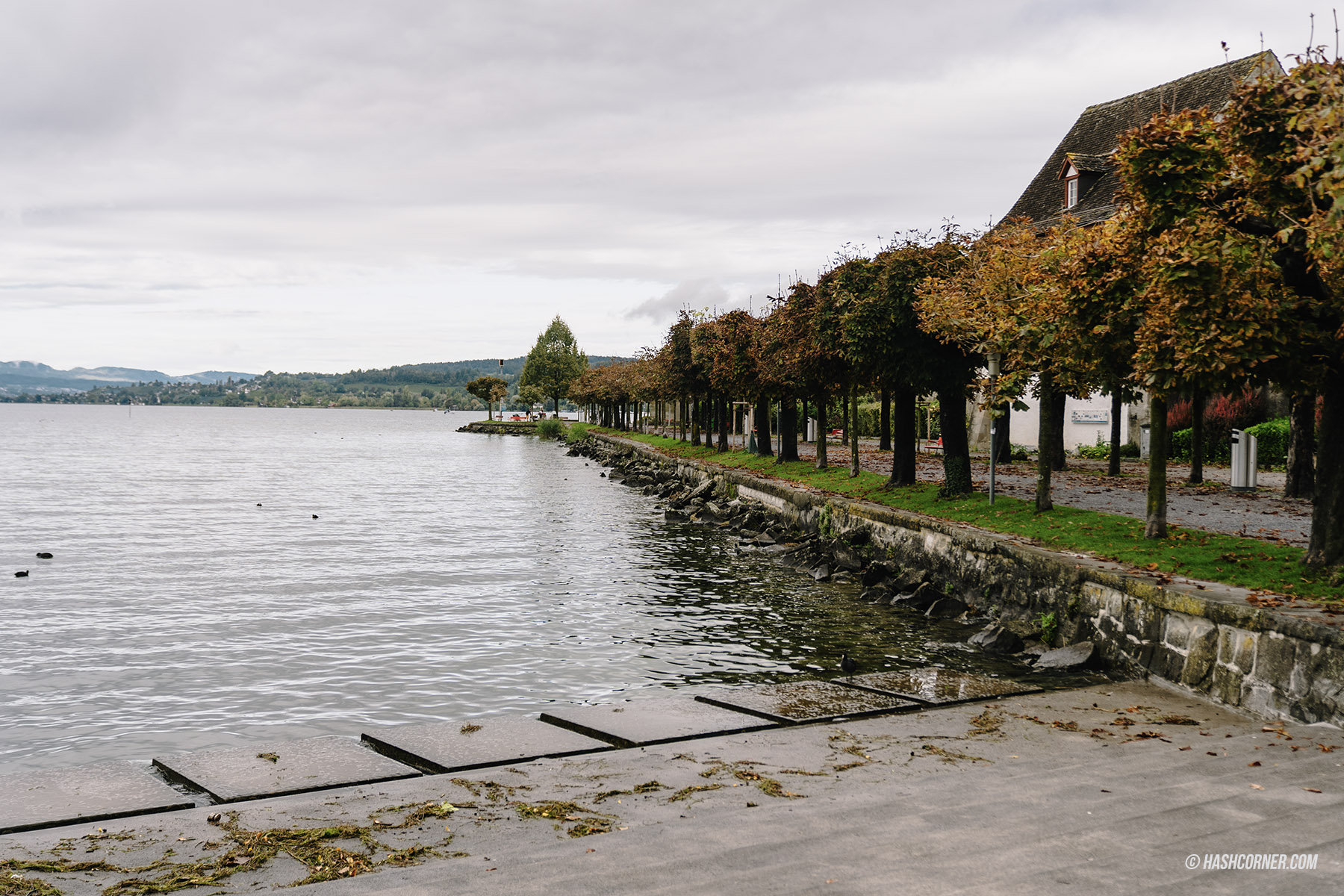 รีวิว ราพเพอร์สวิล (Rapperswil) x สวิตเซอร์แลนด์ เที่ยวเมืองดอกกุหลาบ