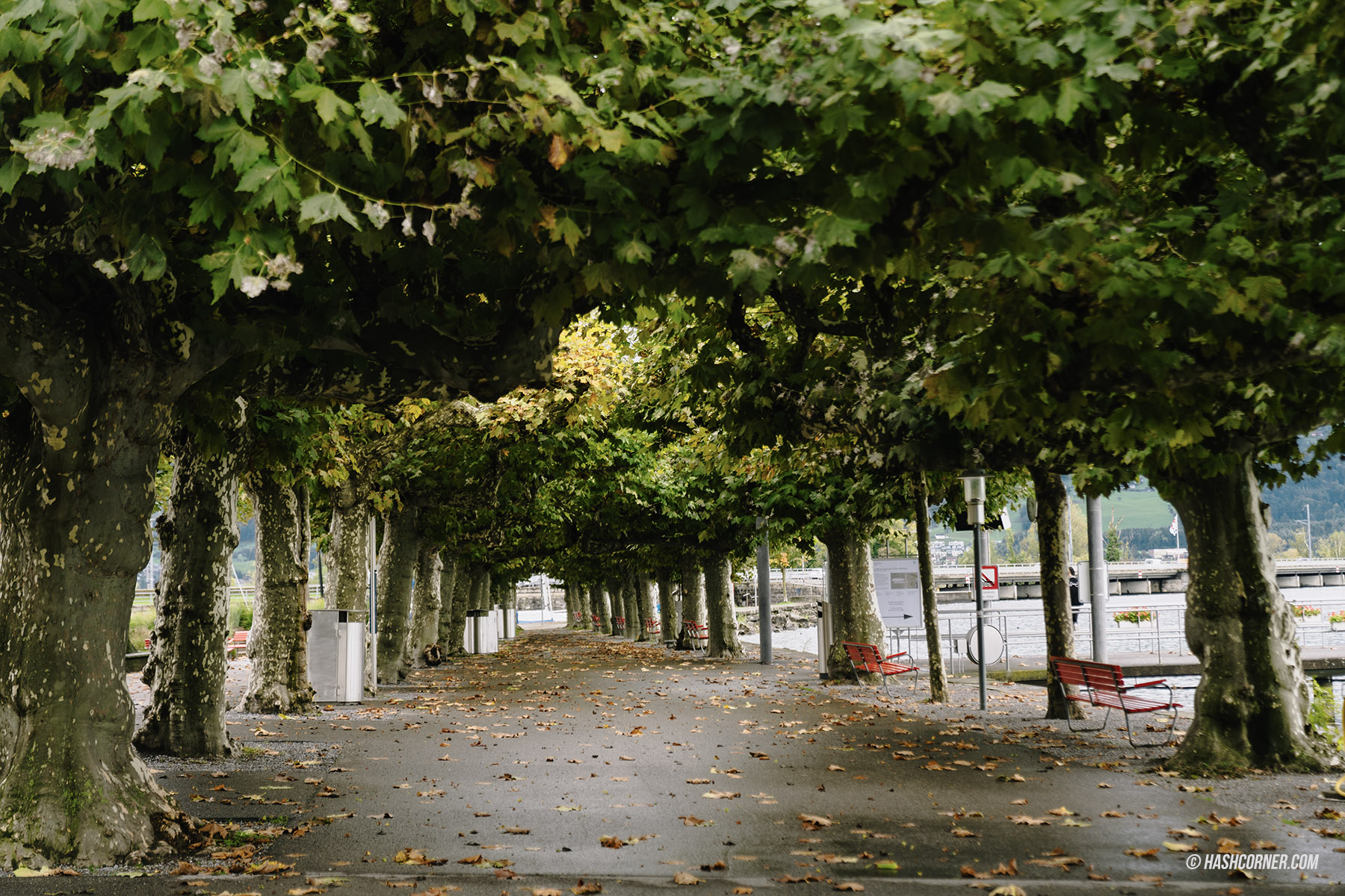 รีวิว ราพเพอร์สวิล (Rapperswil) x สวิตเซอร์แลนด์ เที่ยวเมืองดอกกุหลาบ