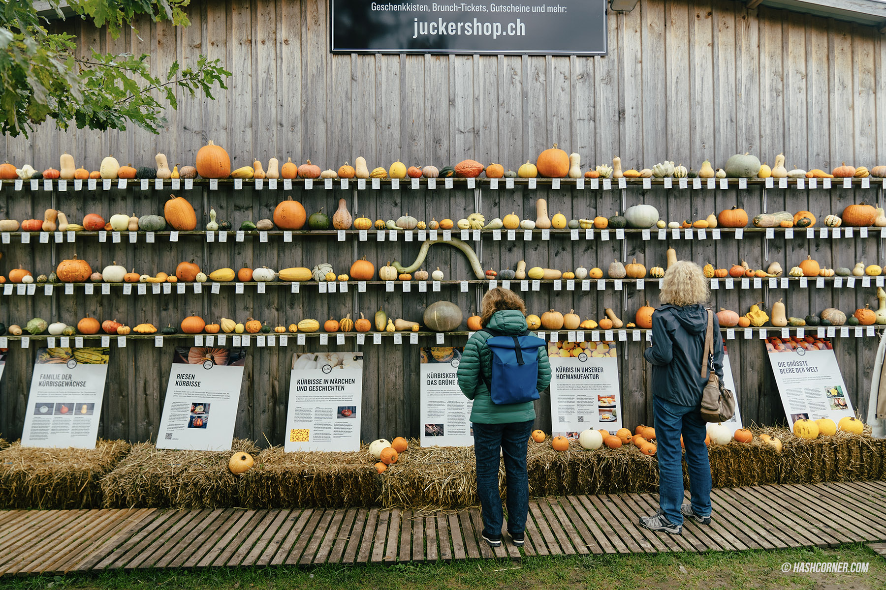 รีวิว ราพเพอร์สวิล (Rapperswil) x สวิตเซอร์แลนด์ เที่ยวเมืองดอกกุหลาบ