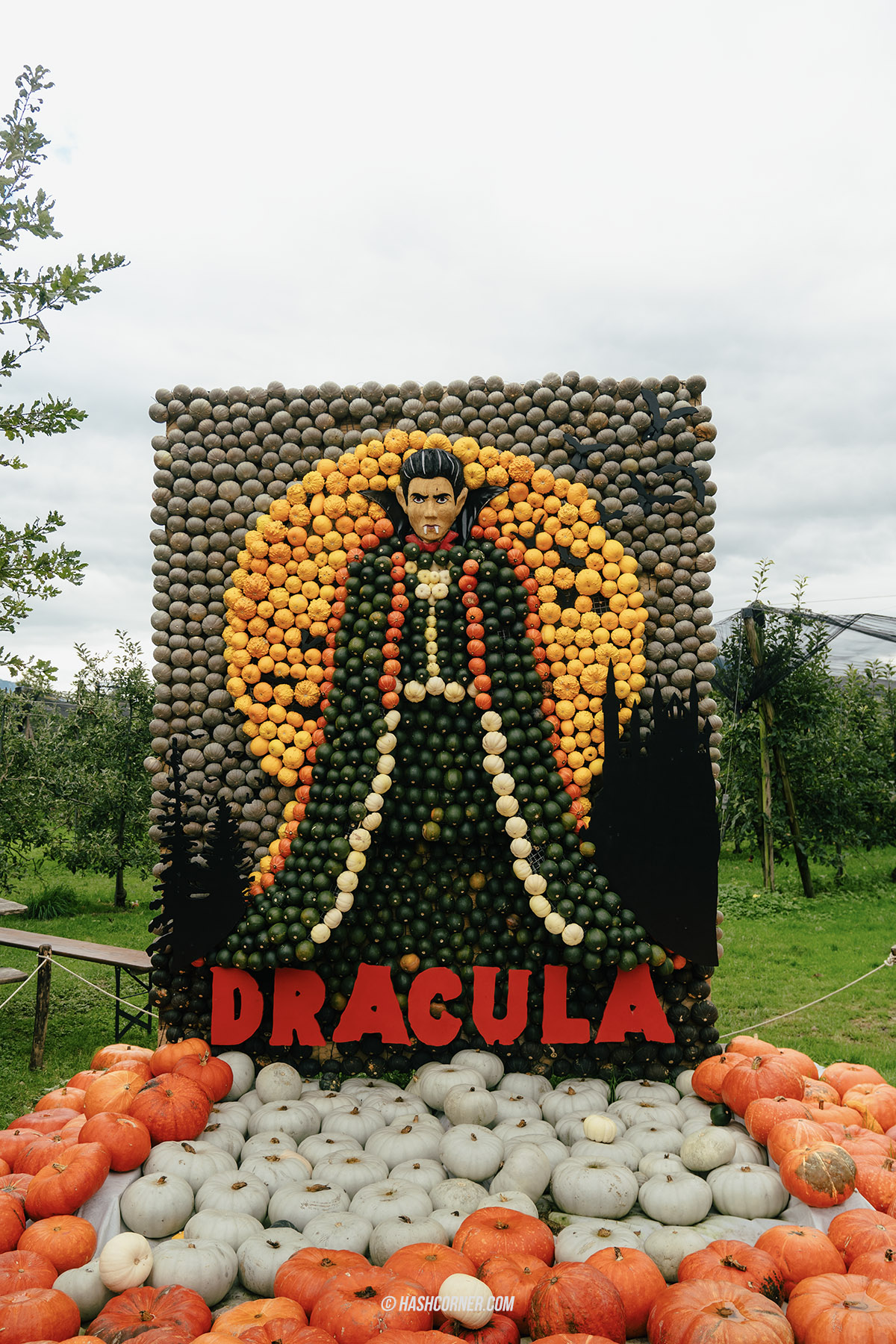 รีวิว ราพเพอร์สวิล (Rapperswil) x สวิตเซอร์แลนด์ เที่ยวเมืองดอกกุหลาบ