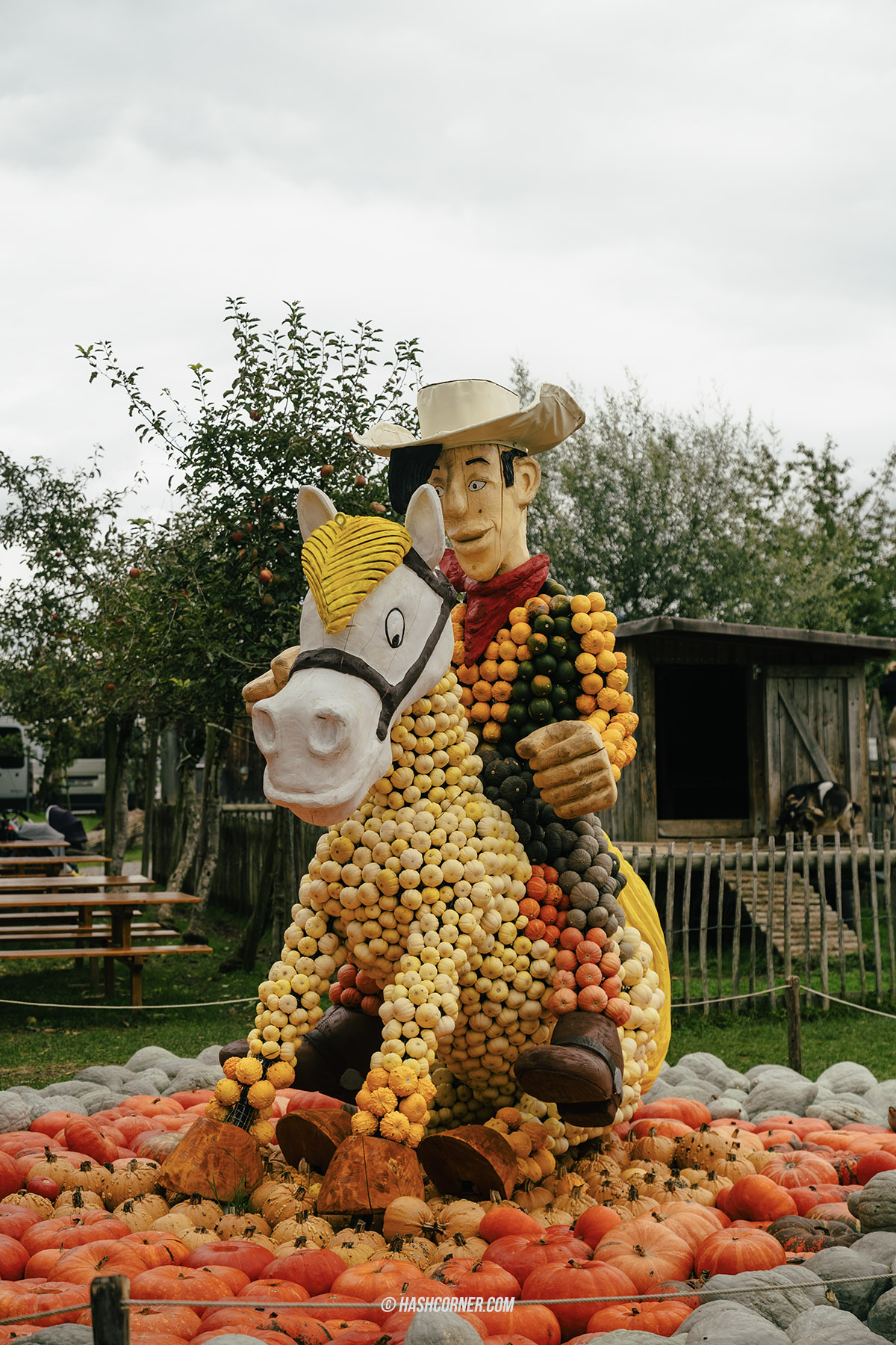 รีวิว ราพเพอร์สวิล (Rapperswil) x สวิตเซอร์แลนด์ เที่ยวเมืองดอกกุหลาบ