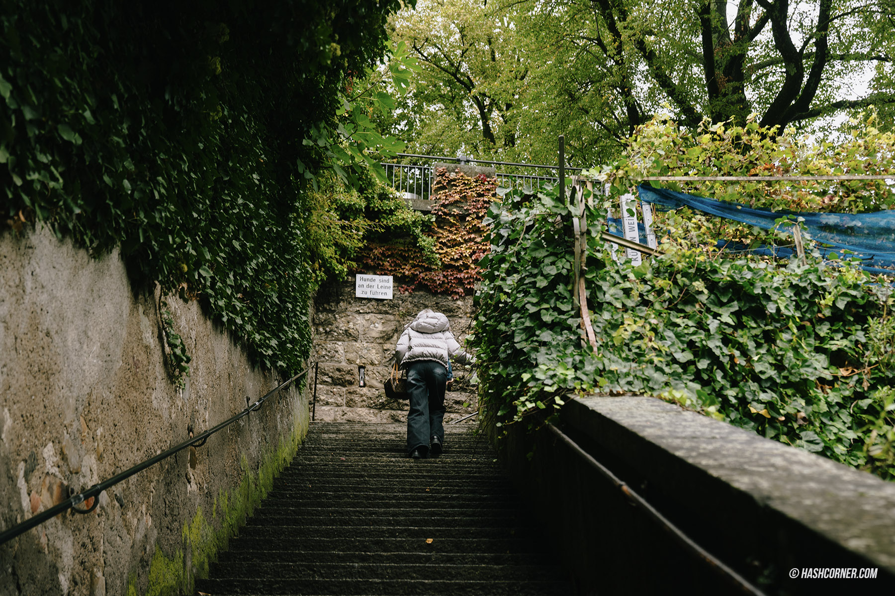 รีวิว ราพเพอร์สวิล (Rapperswil) x สวิตเซอร์แลนด์ เที่ยวเมืองดอกกุหลาบ