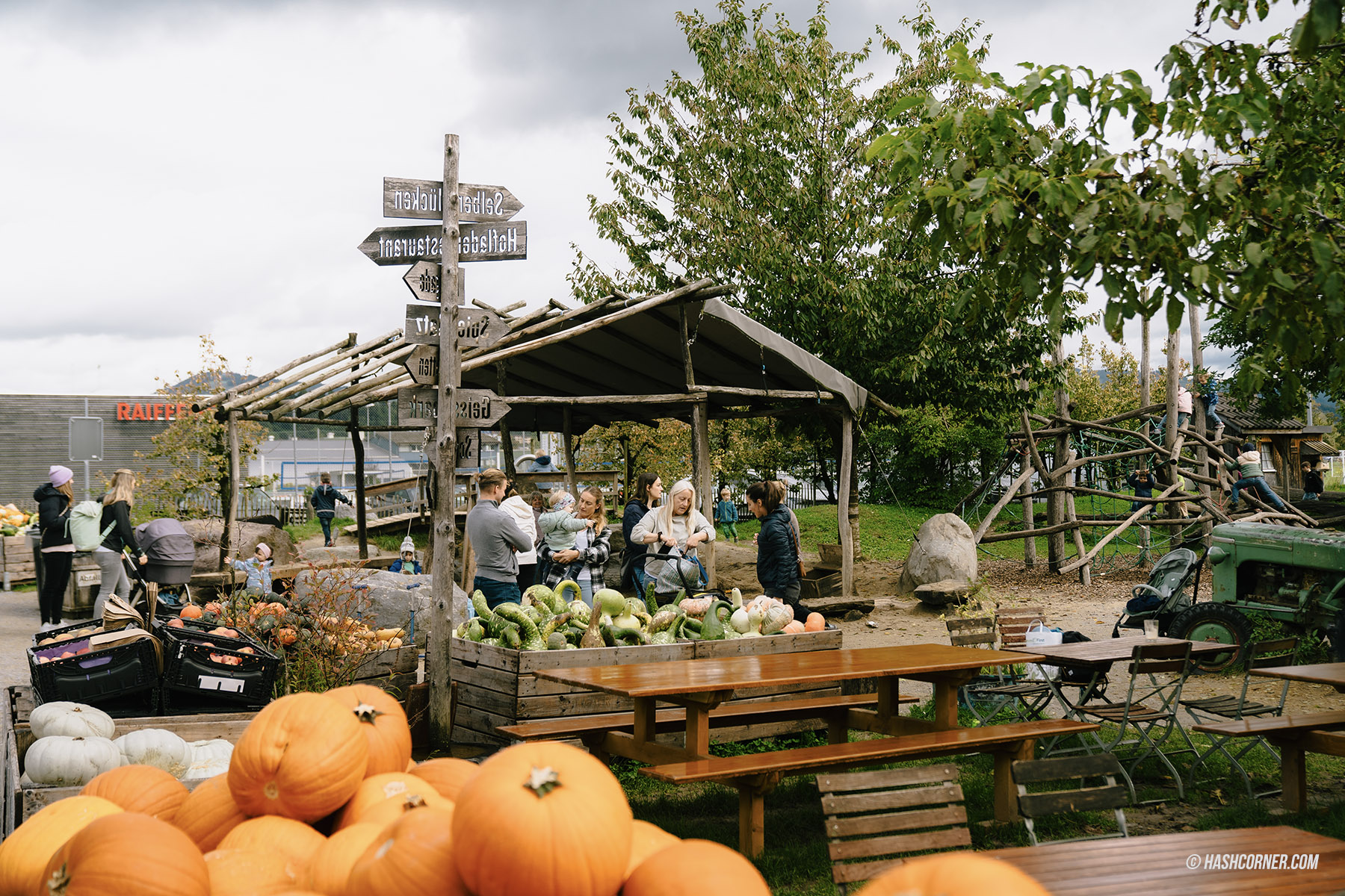 รีวิว ราพเพอร์สวิล (Rapperswil) x สวิตเซอร์แลนด์ เที่ยวเมืองดอกกุหลาบ