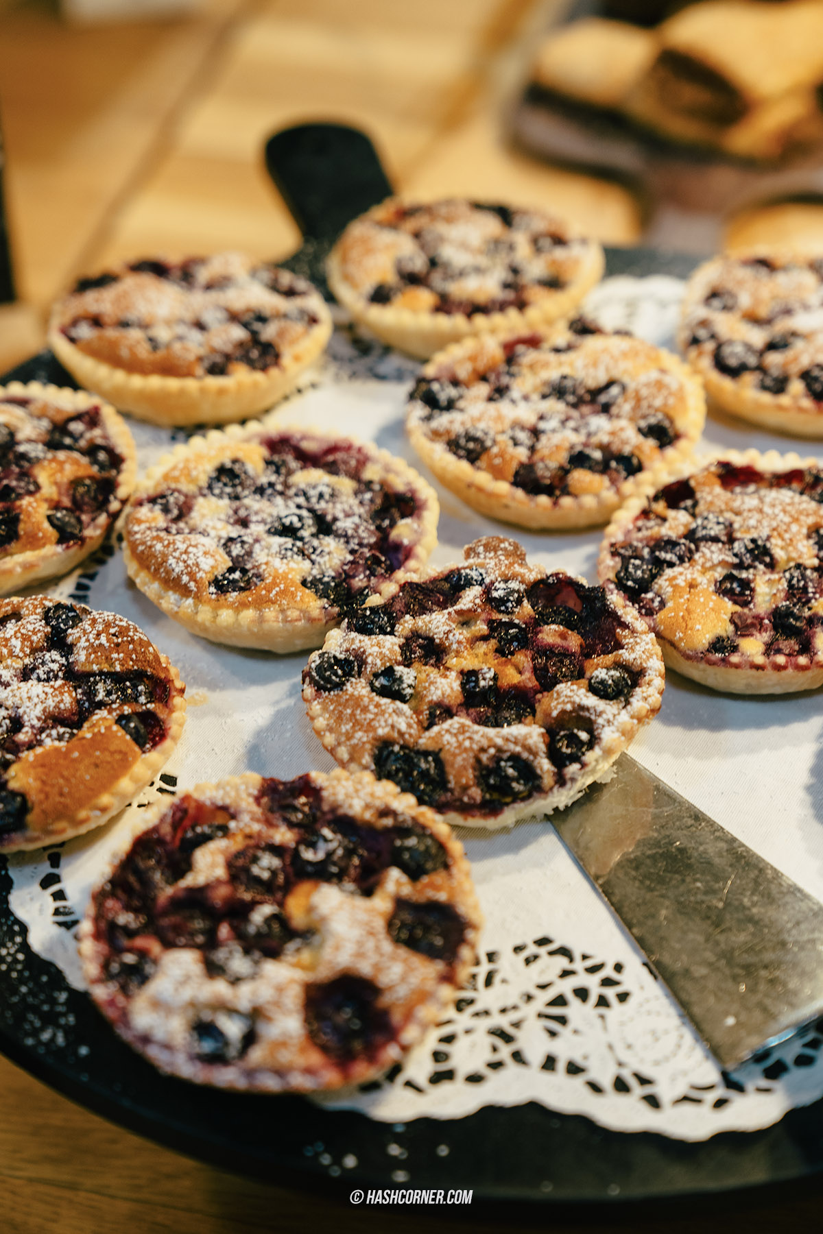 รีวิว ราพเพอร์สวิล (Rapperswil) x สวิตเซอร์แลนด์ เที่ยวเมืองดอกกุหลาบ