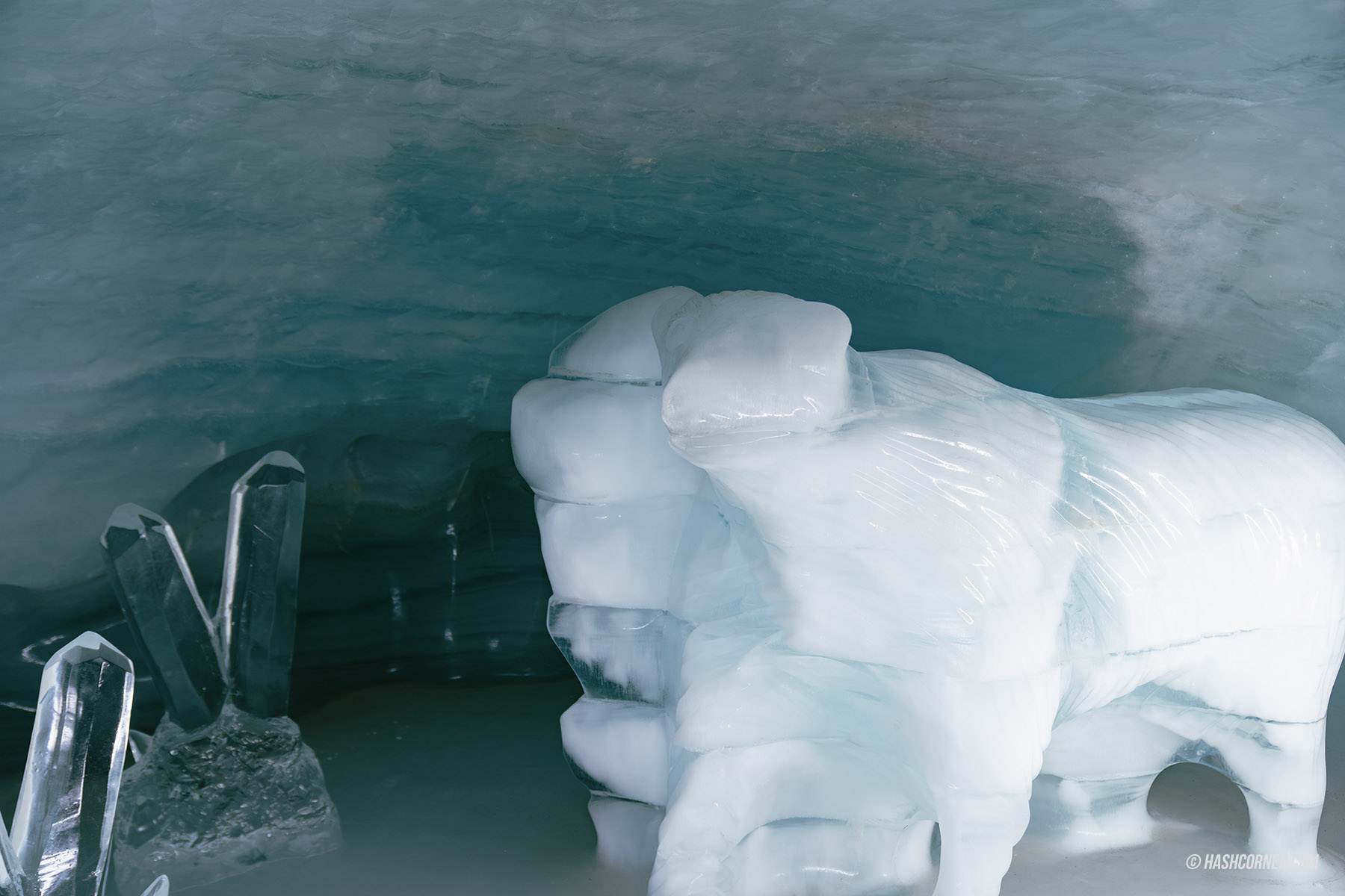 รีวิว ยอดเขาจุงเฟรายอค (Jungfraujoch) x สวิตเซอร์แลนด์