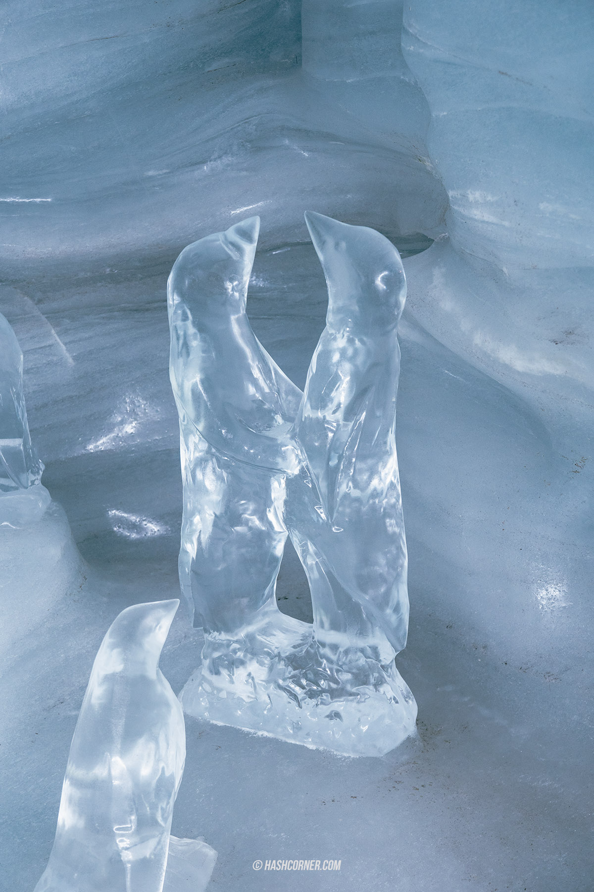รีวิว ยอดเขาจุงเฟรายอค (Jungfraujoch) x สวิตเซอร์แลนด์