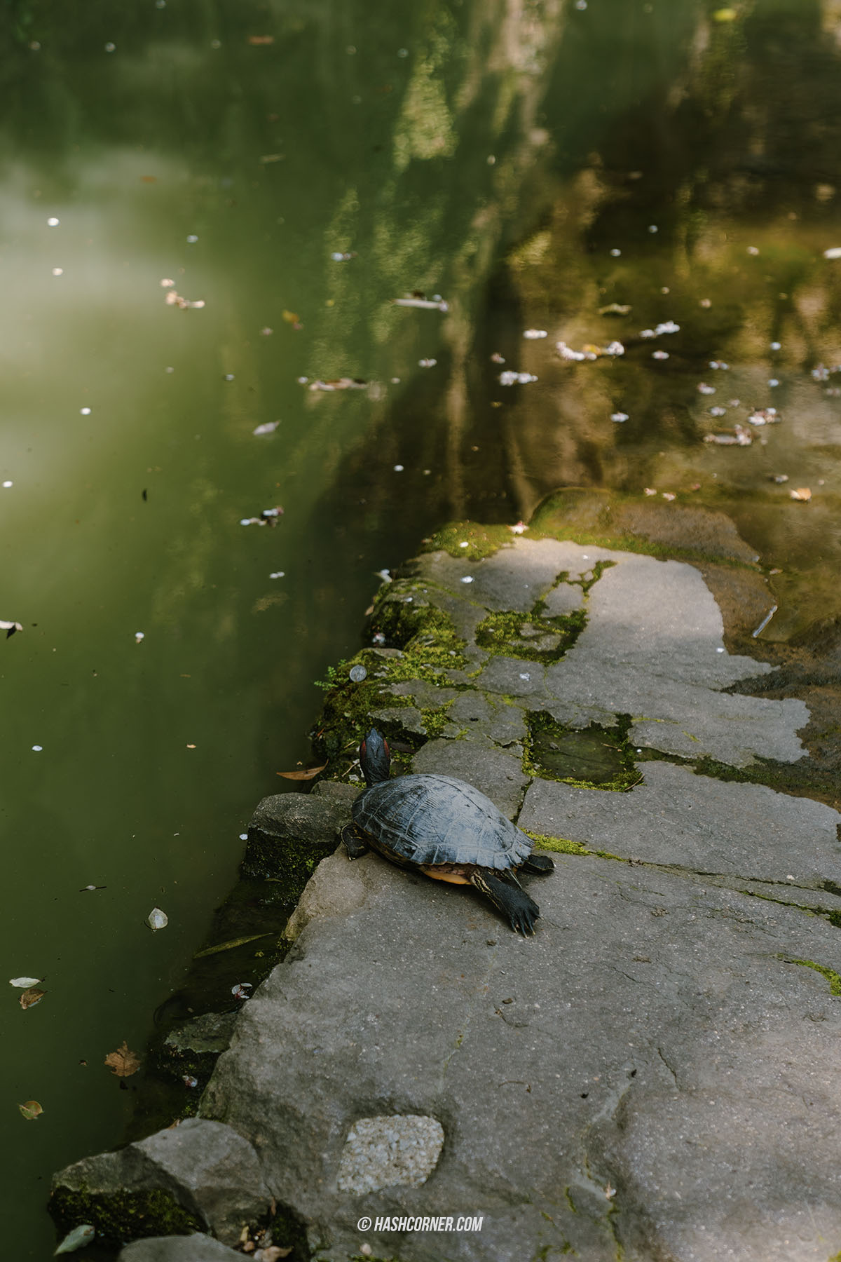รีวิว ซูโจว (Suzhou) x จีน เที่ยวเมืองโบราณเวนิสตะวันออก