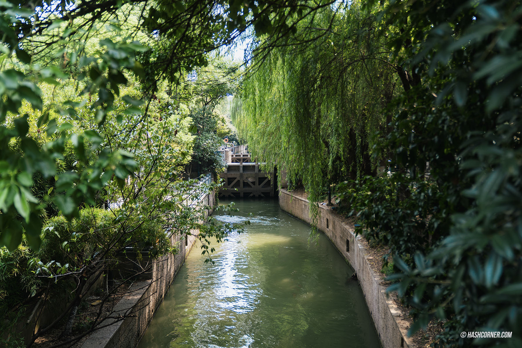 รีวิว หางโจว (Hangzhou) x จีน เที่ยวเมืองสรวงสวรรค์บนดิน 