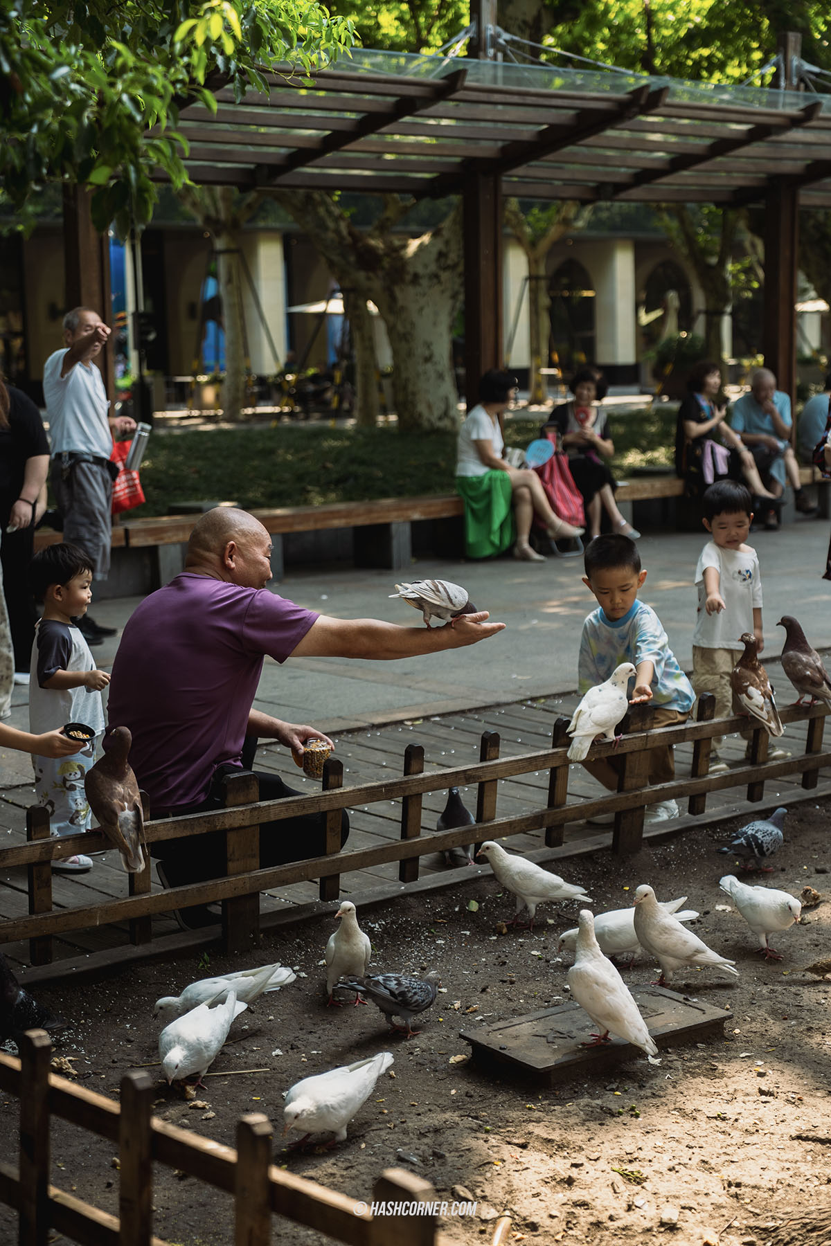 รีวิว หางโจว (Hangzhou) x จีน เที่ยวเมืองสรวงสวรรค์บนดิน 