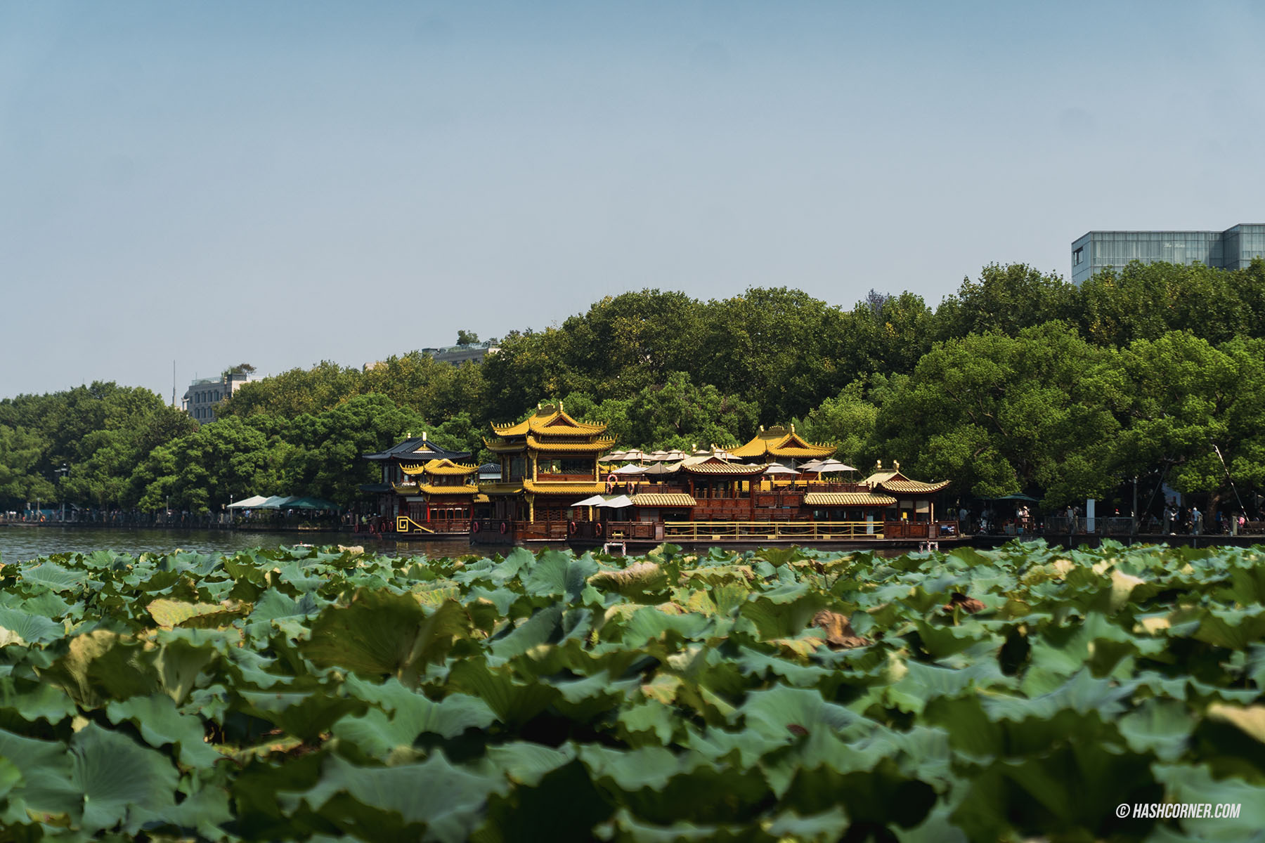 รีวิว หางโจว (Hangzhou) x จีน เที่ยวเมืองสรวงสวรรค์บนดิน 