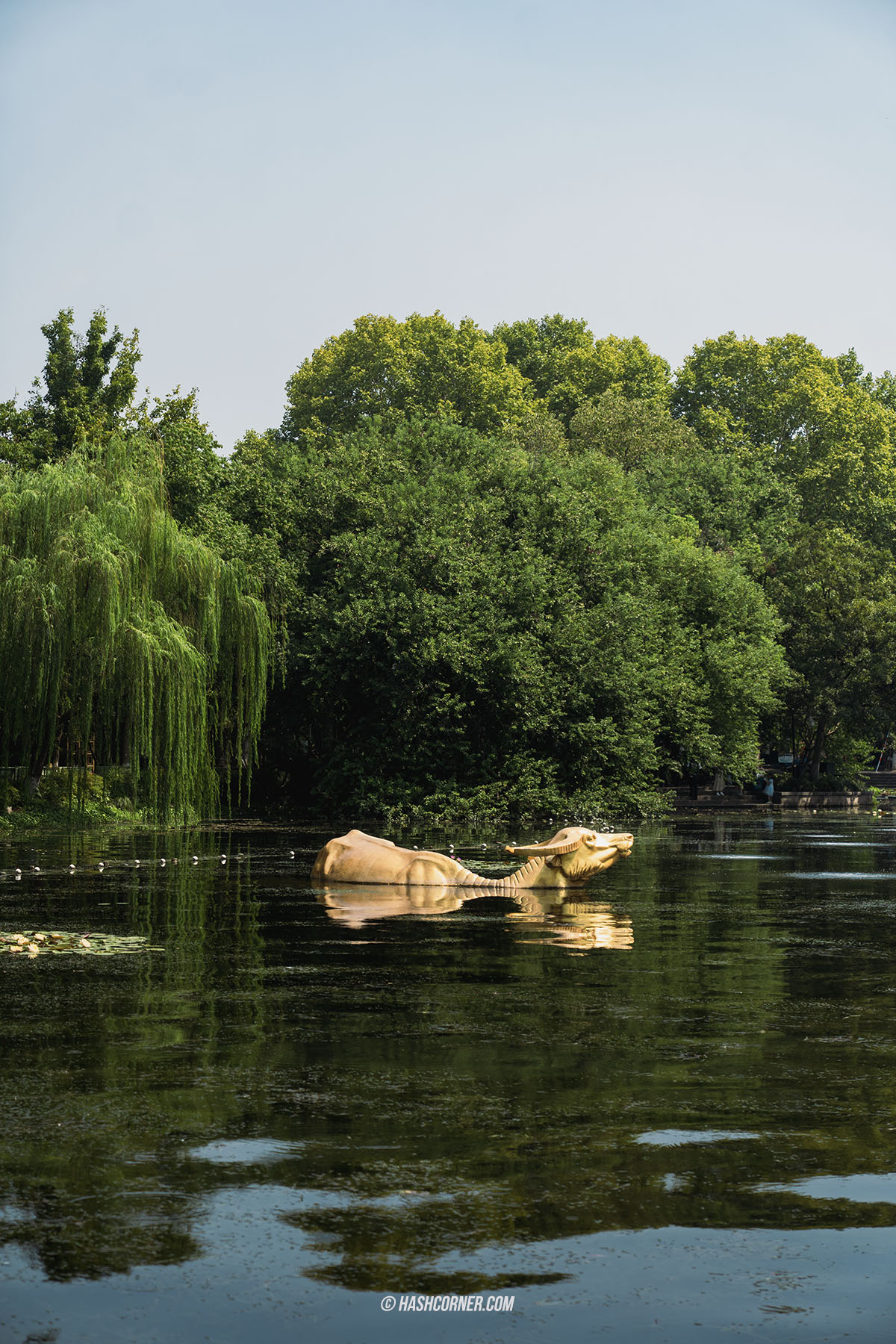 รีวิว หางโจว (Hangzhou) x จีน เที่ยวเมืองสรวงสวรรค์บนดิน 