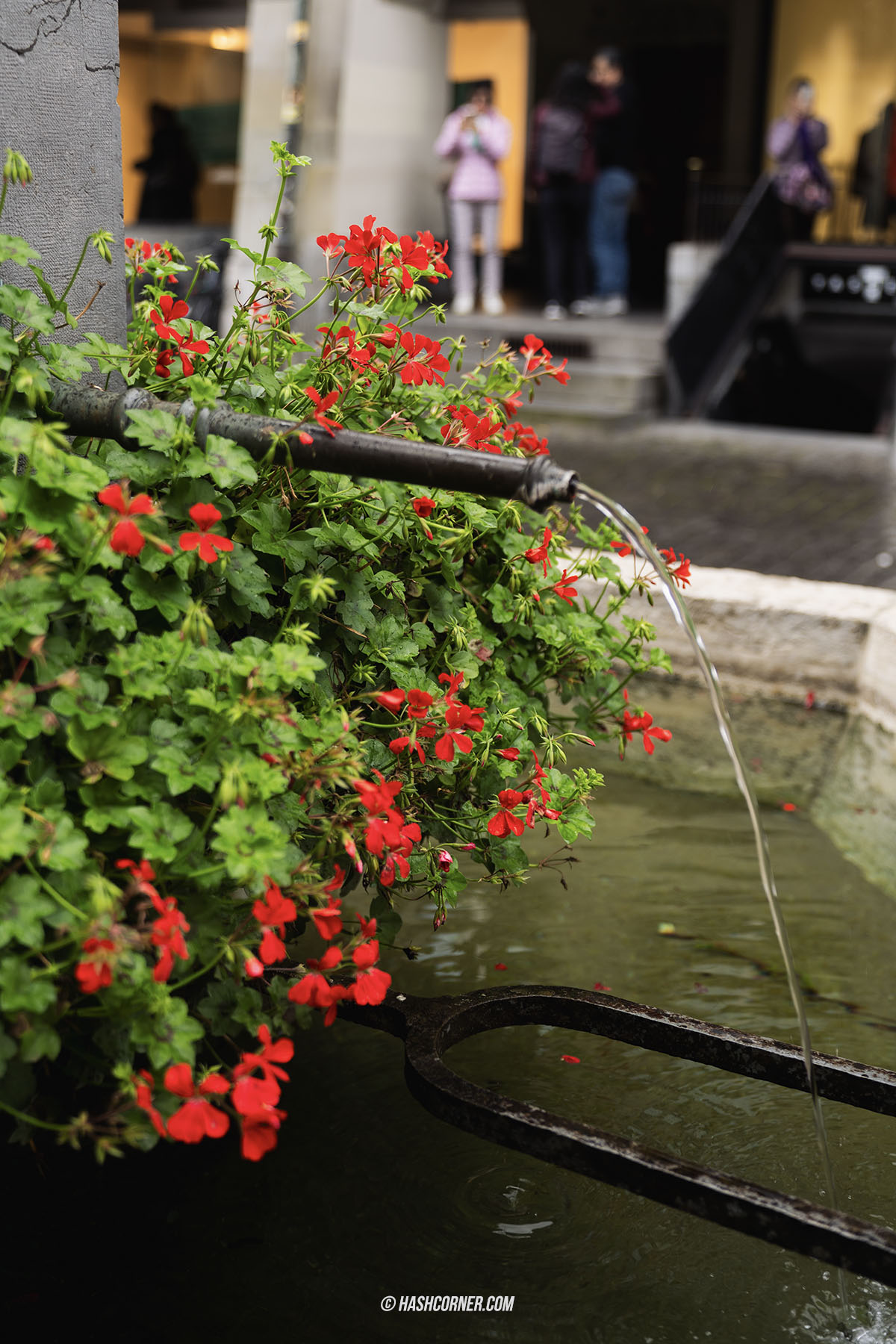 รีวิว เบิร์น (Bern) x สวิตเซอร์แลนด์ เที่ยวเมืองหลวงหนึ่งวัน 