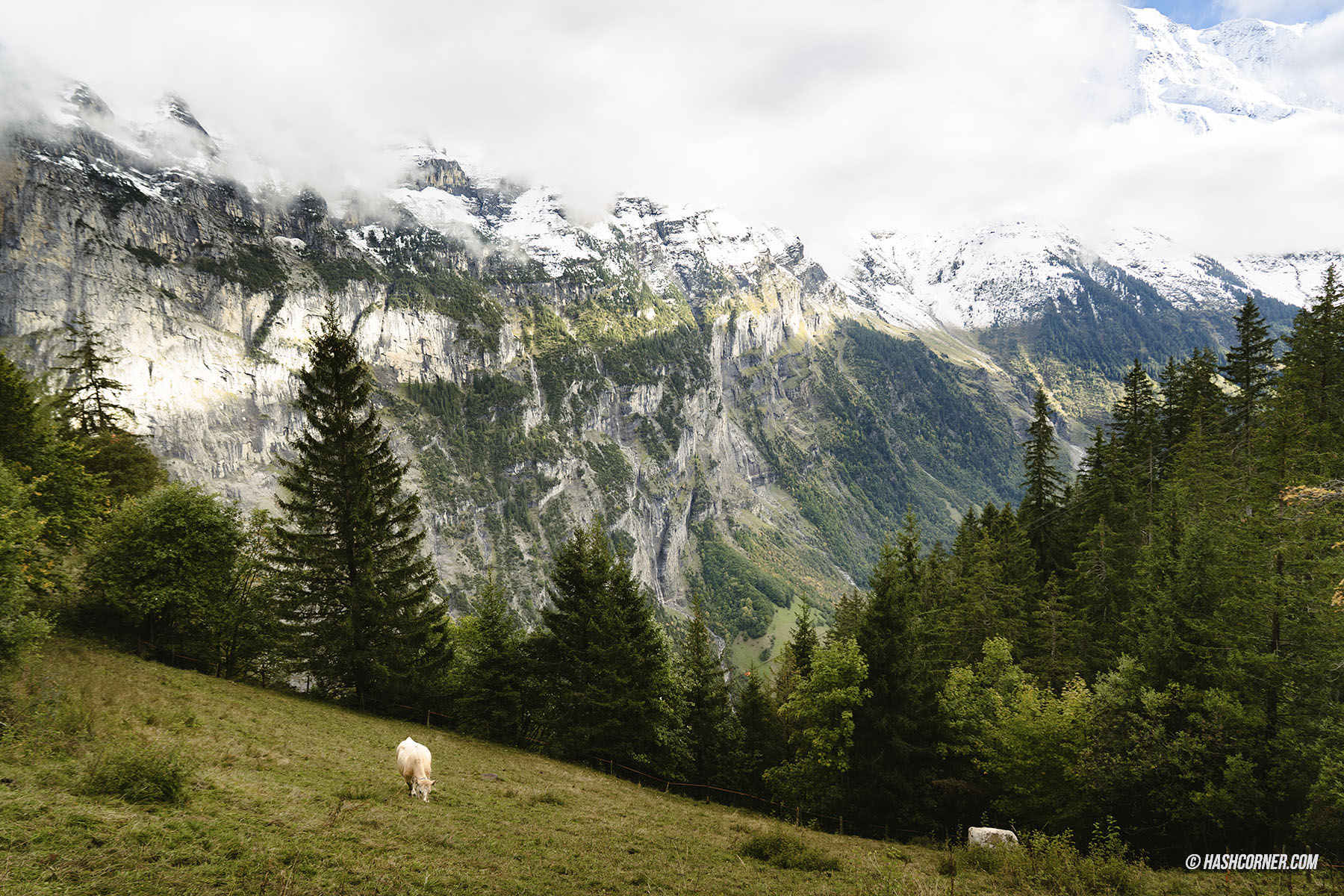 รีวิว กิมเมลวาลด์ (Gimmelwald) x สวิตเซอร์แลนด์ หมู่บ้านเก่าแก่เลื่องลือเรื่องการเกษตร