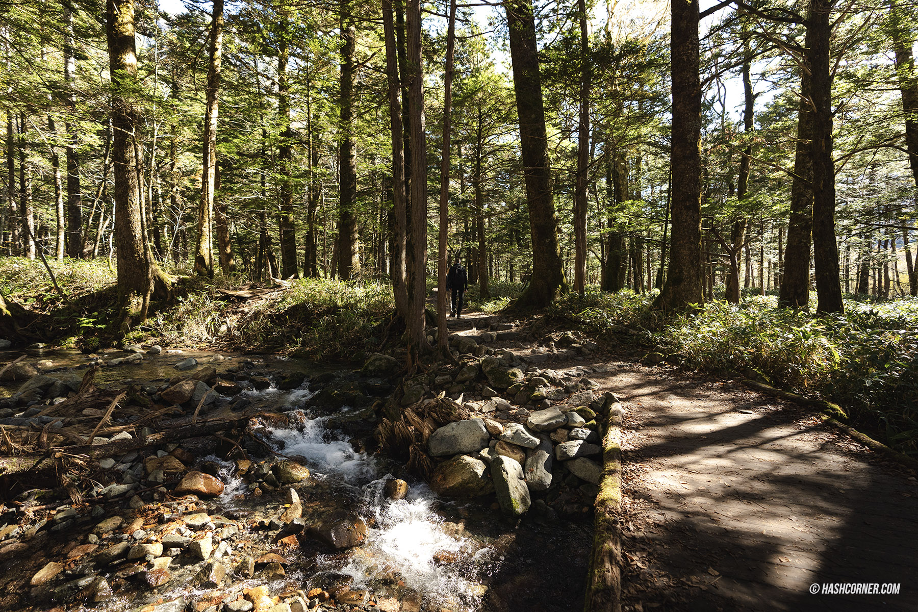 รีวิว คามิโคจิ (Kamikochi) x นากาโน่ เทือกเขาแอลป์ญี่ปุ่นช่วงฤดูใบไม้ร่วง