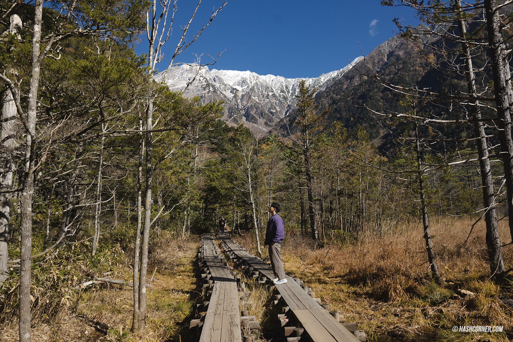 รีวิว คามิโคจิ (Kamikochi) x นากาโน่ เทือกเขาแอลป์ญี่ปุ่นช่วงฤดูใบไม้ร่วง
