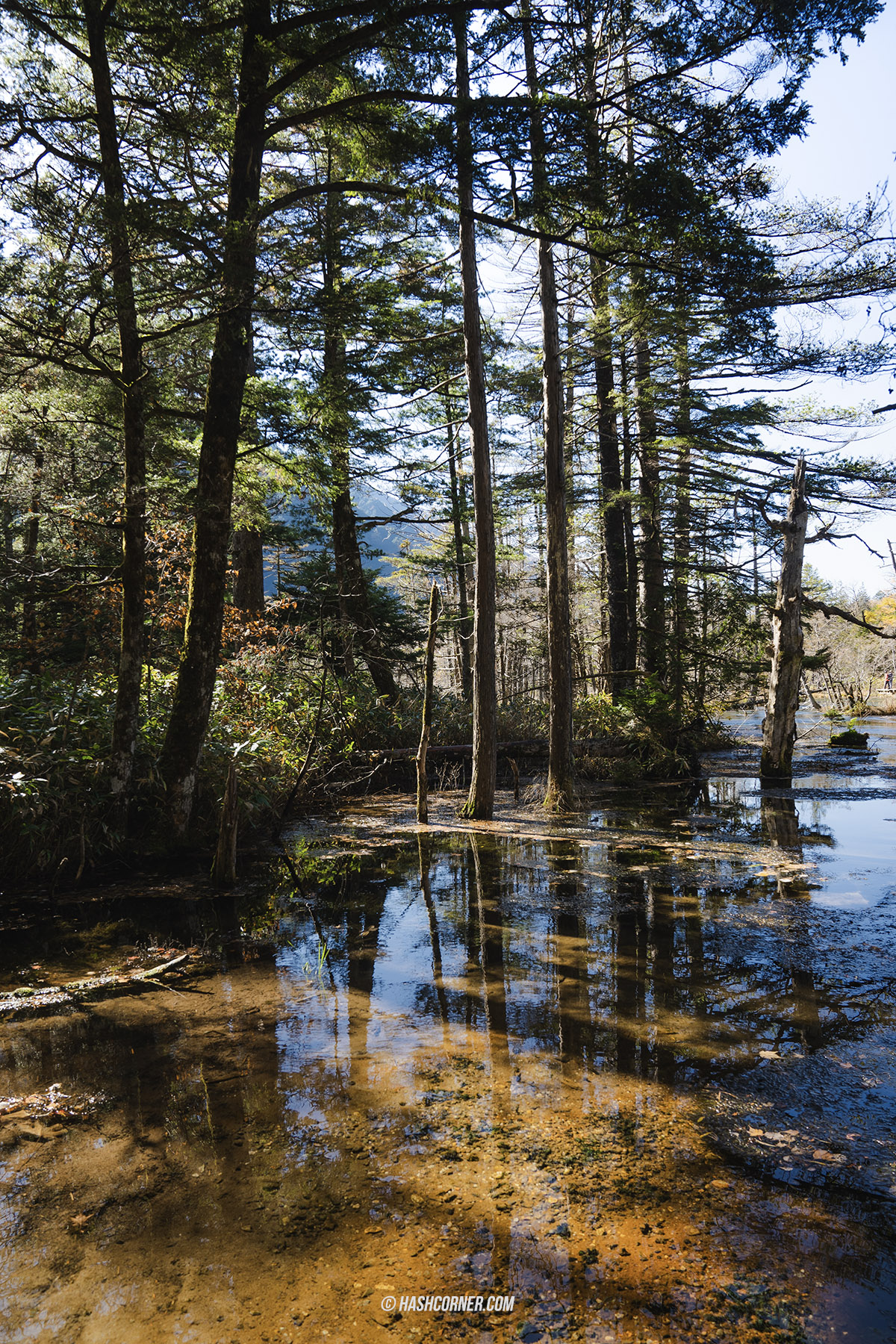 รีวิว คามิโคจิ (Kamikochi) x นากาโน่ เทือกเขาแอลป์ญี่ปุ่นช่วงฤดูใบไม้ร่วง