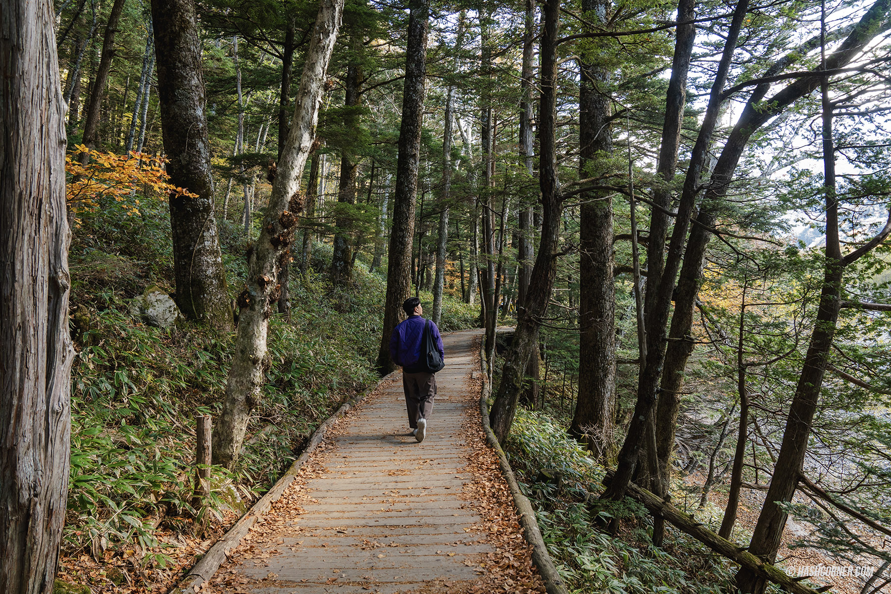 รีวิว คามิโคจิ (Kamikochi) x นากาโน่ เทือกเขาแอลป์ญี่ปุ่นช่วงฤดูใบไม้ร่วง