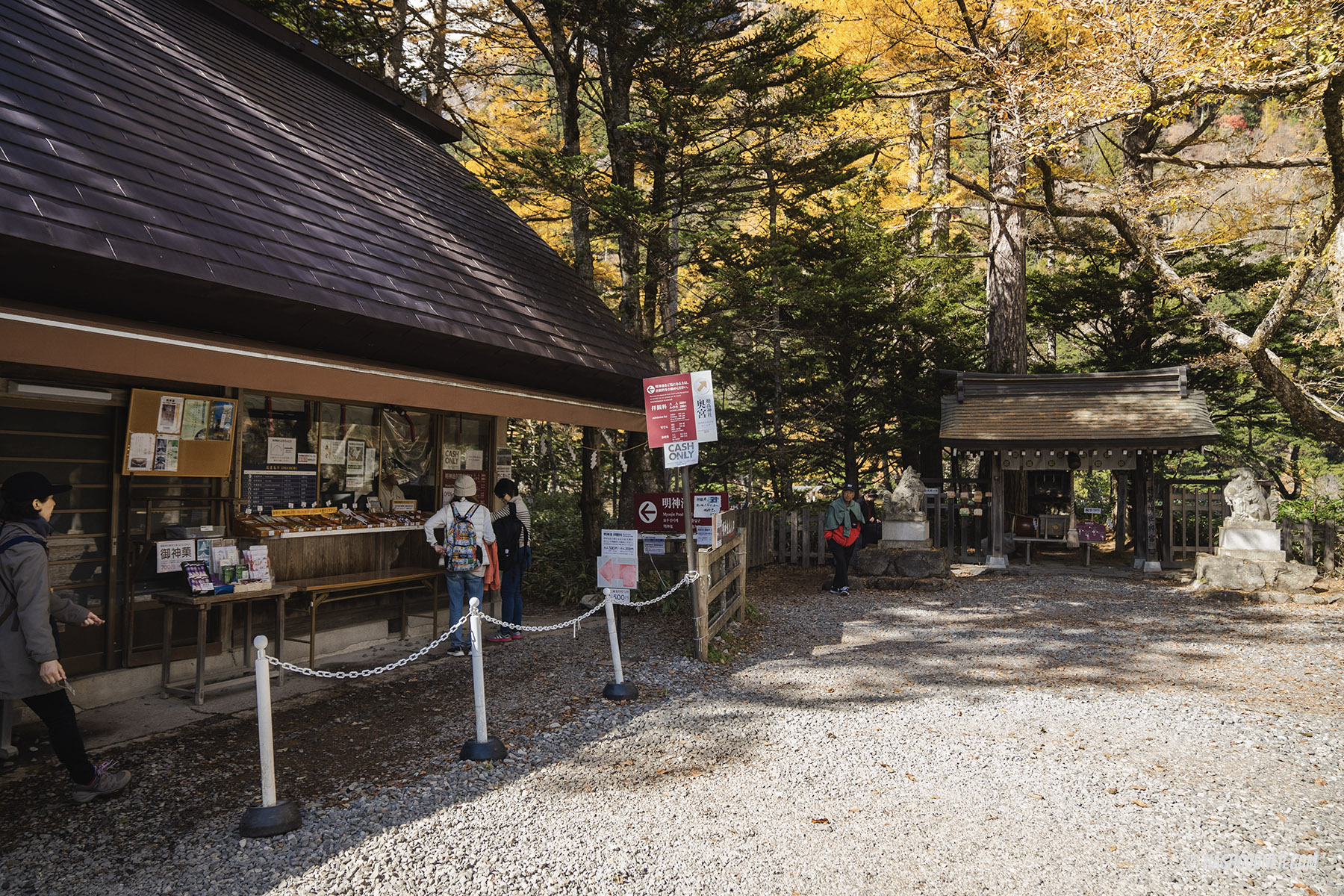 รีวิว คามิโคจิ (Kamikochi) x นากาโน่ เทือกเขาแอลป์ญี่ปุ่นช่วงฤดูใบไม้ร่วง
