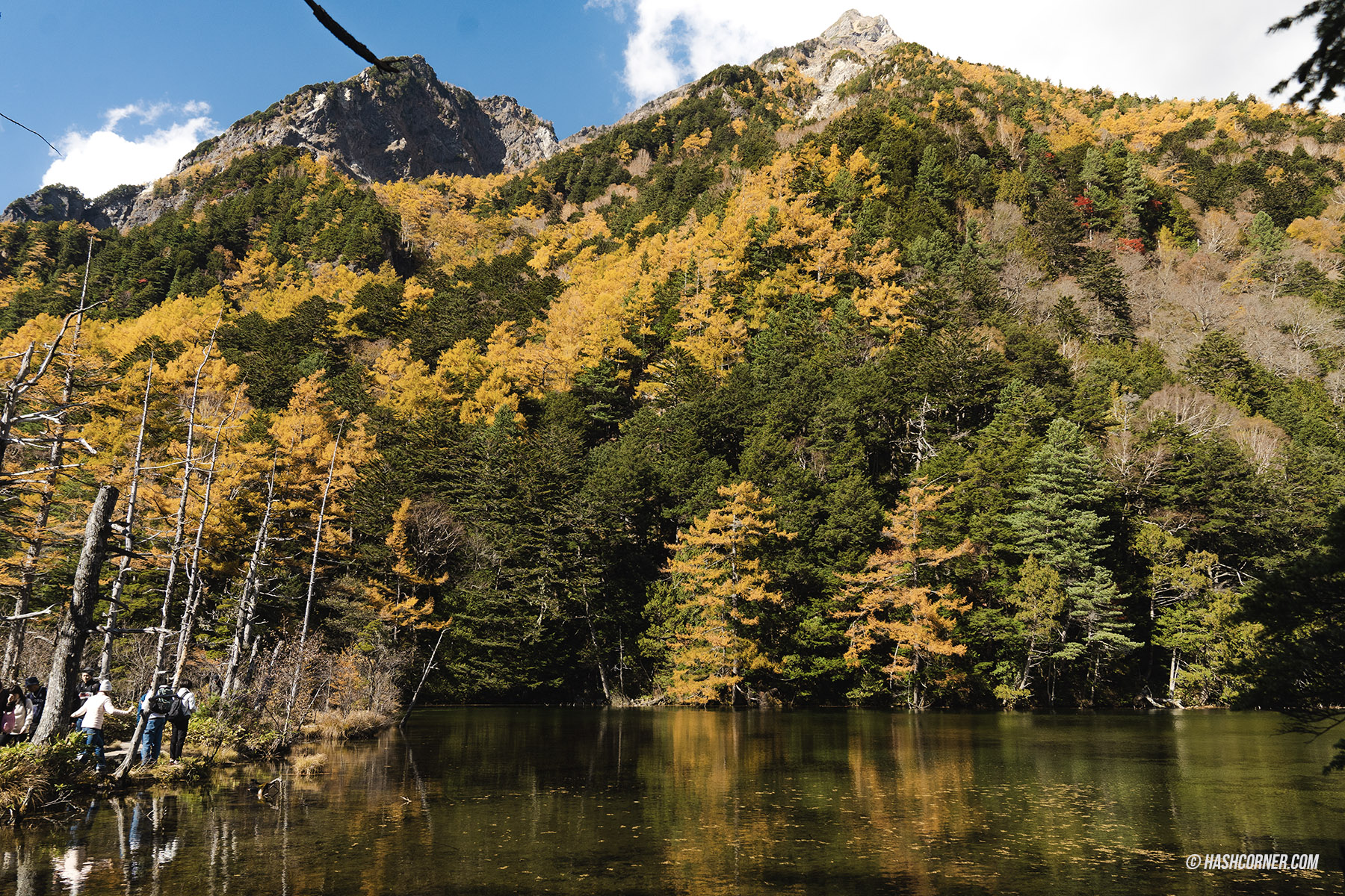 รีวิว คามิโคจิ (Kamikochi) x นากาโน่ เทือกเขาแอลป์ญี่ปุ่นช่วงฤดูใบไม้ร่วง