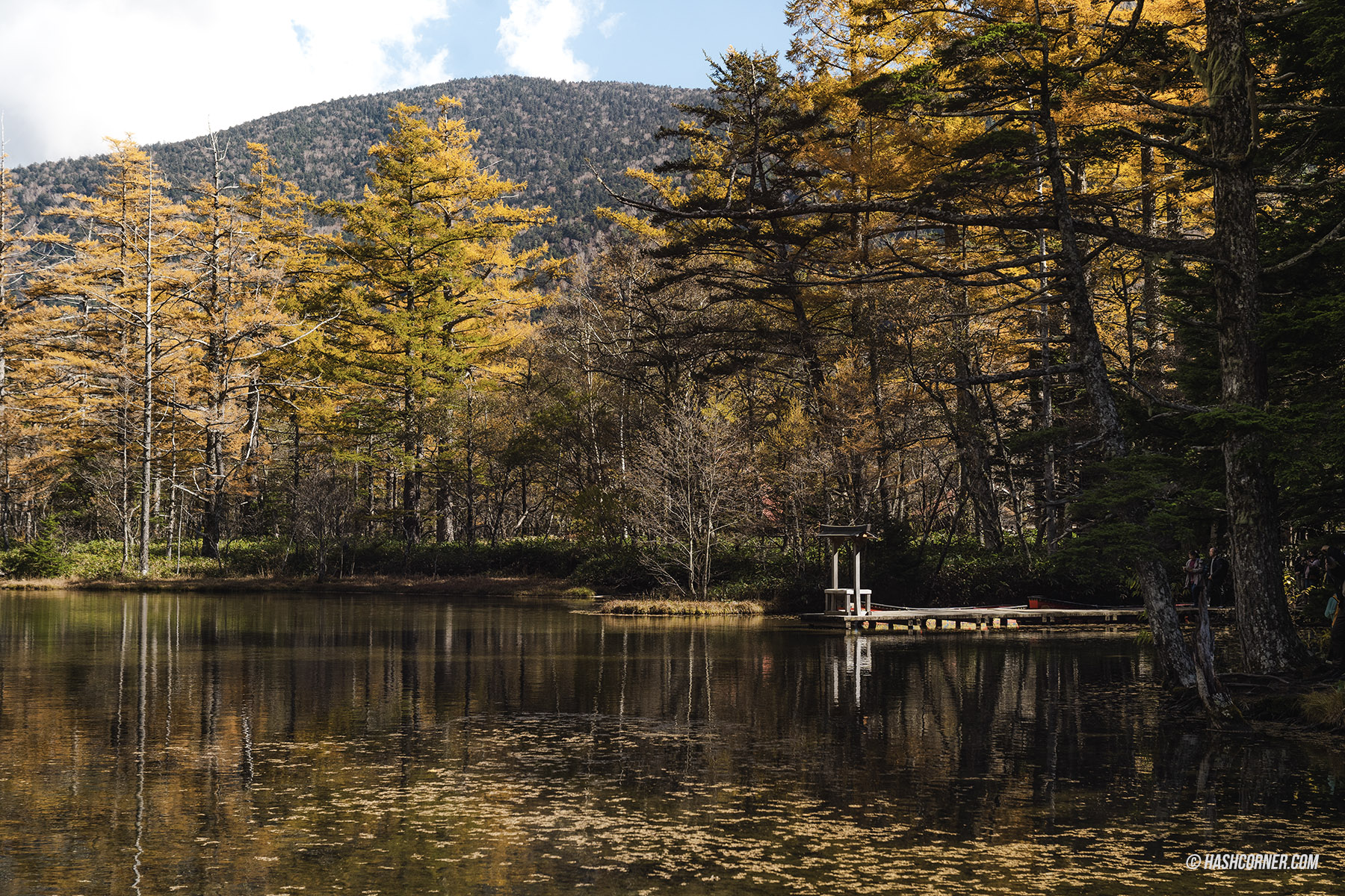 รีวิว คามิโคจิ (Kamikochi) x นากาโน่ เทือกเขาแอลป์ญี่ปุ่นช่วงฤดูใบไม้ร่วง
