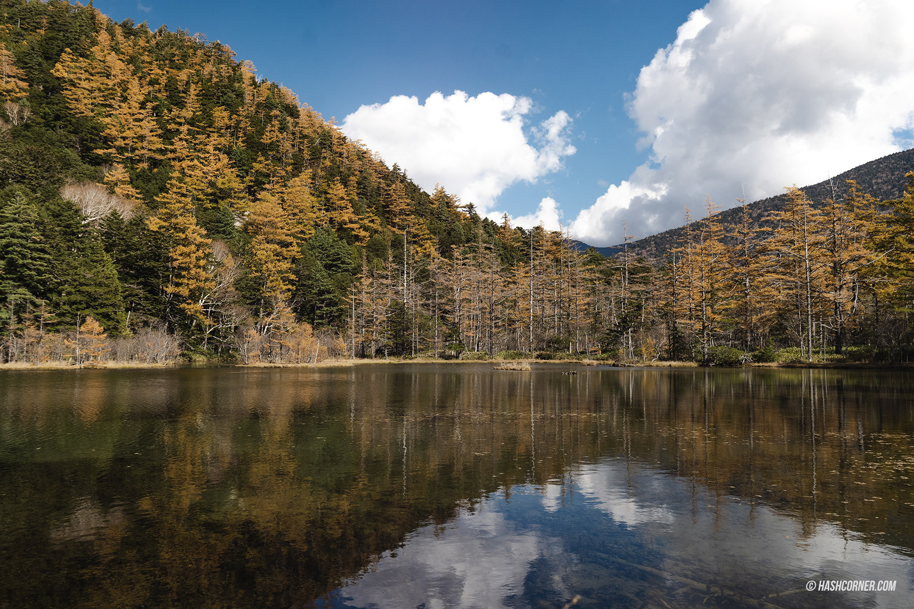 รีวิว คามิโคจิ (Kamikochi) x นากาโน่ เทือกเขาแอลป์ญี่ปุ่นช่วงฤดูใบไม้ร่วง
