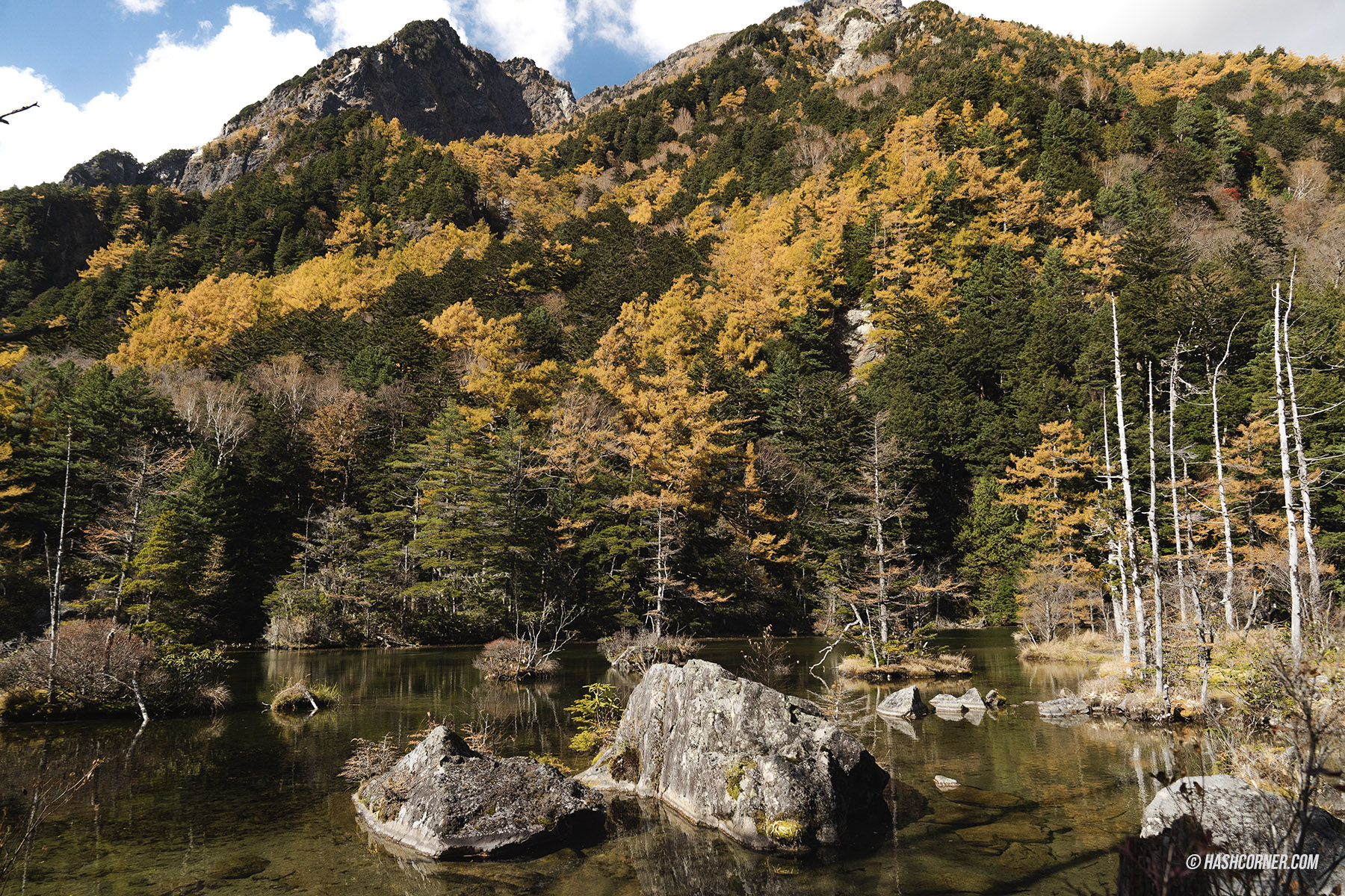 รีวิว คามิโคจิ (Kamikochi) x นากาโน่ เทือกเขาแอลป์ญี่ปุ่นช่วงฤดูใบไม้ร่วง