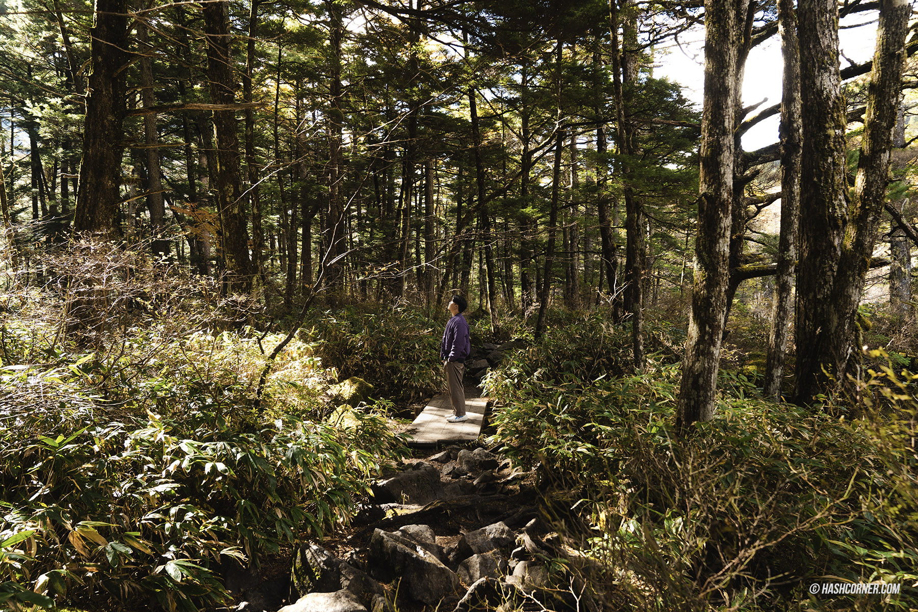 รีวิว คามิโคจิ (Kamikochi) x นากาโน่ เทือกเขาแอลป์ญี่ปุ่นช่วงฤดูใบไม้ร่วง
