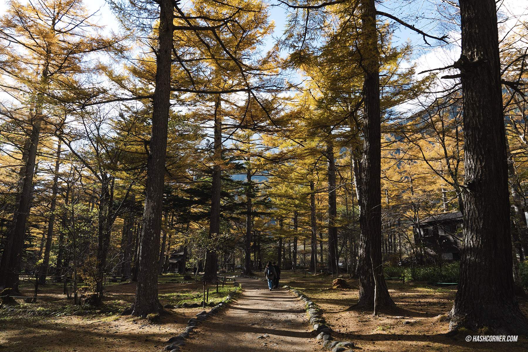 รีวิว คามิโคจิ (Kamikochi) x นากาโน่ เทือกเขาแอลป์ญี่ปุ่นช่วงฤดูใบไม้ร่วง