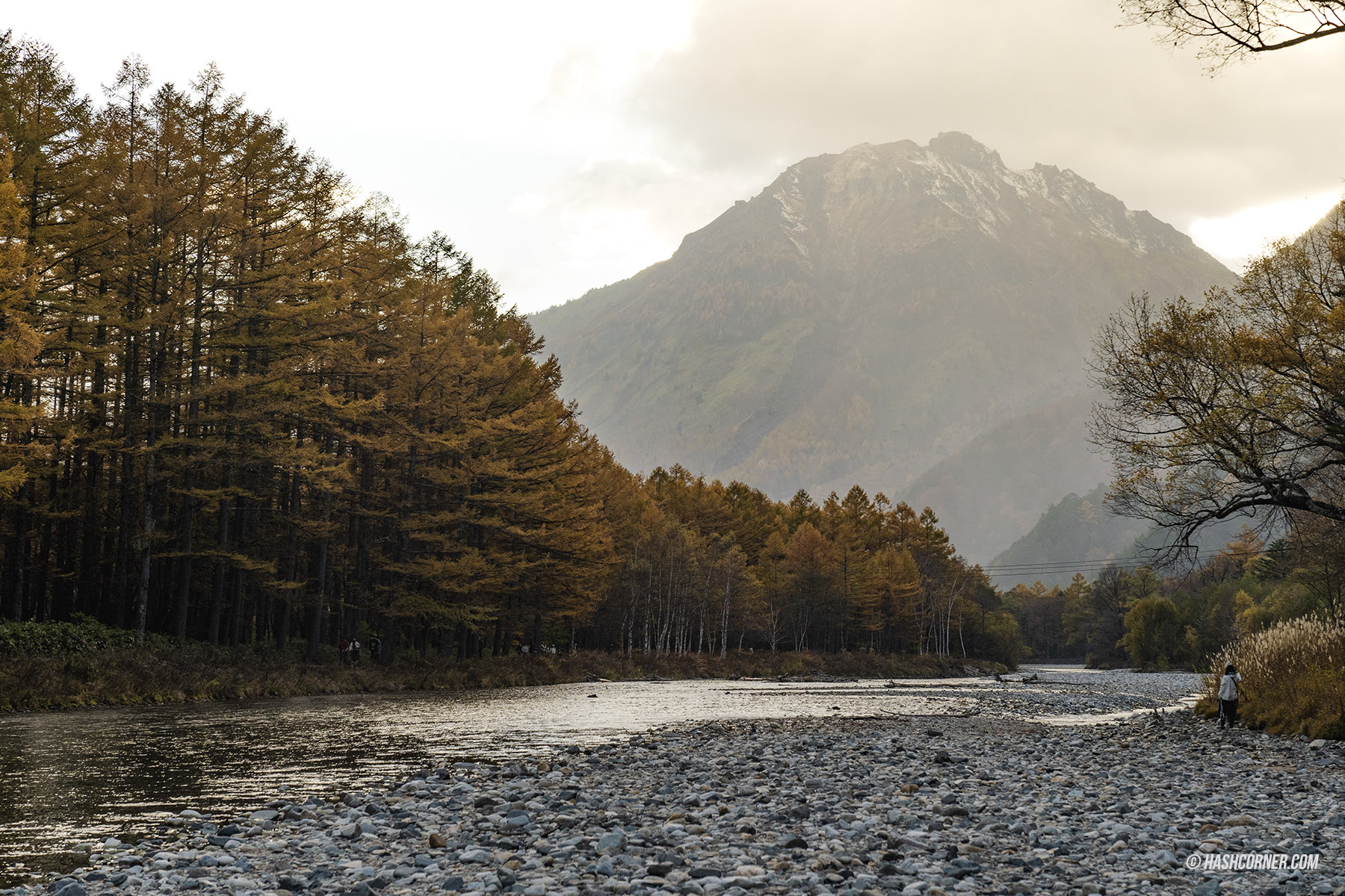 รีวิว คามิโคจิ (Kamikochi) x นากาโน่ เทือกเขาแอลป์ญี่ปุ่นช่วงฤดูใบไม้ร่วง