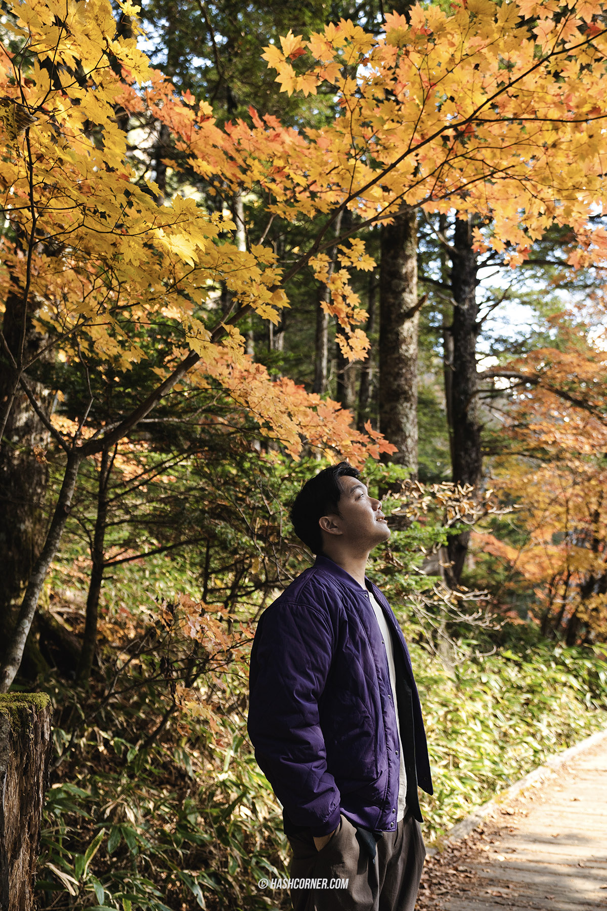 รีวิว คามิโคจิ (Kamikochi) x นากาโน่ เทือกเขาแอลป์ญี่ปุ่นช่วงฤดูใบไม้ร่วง