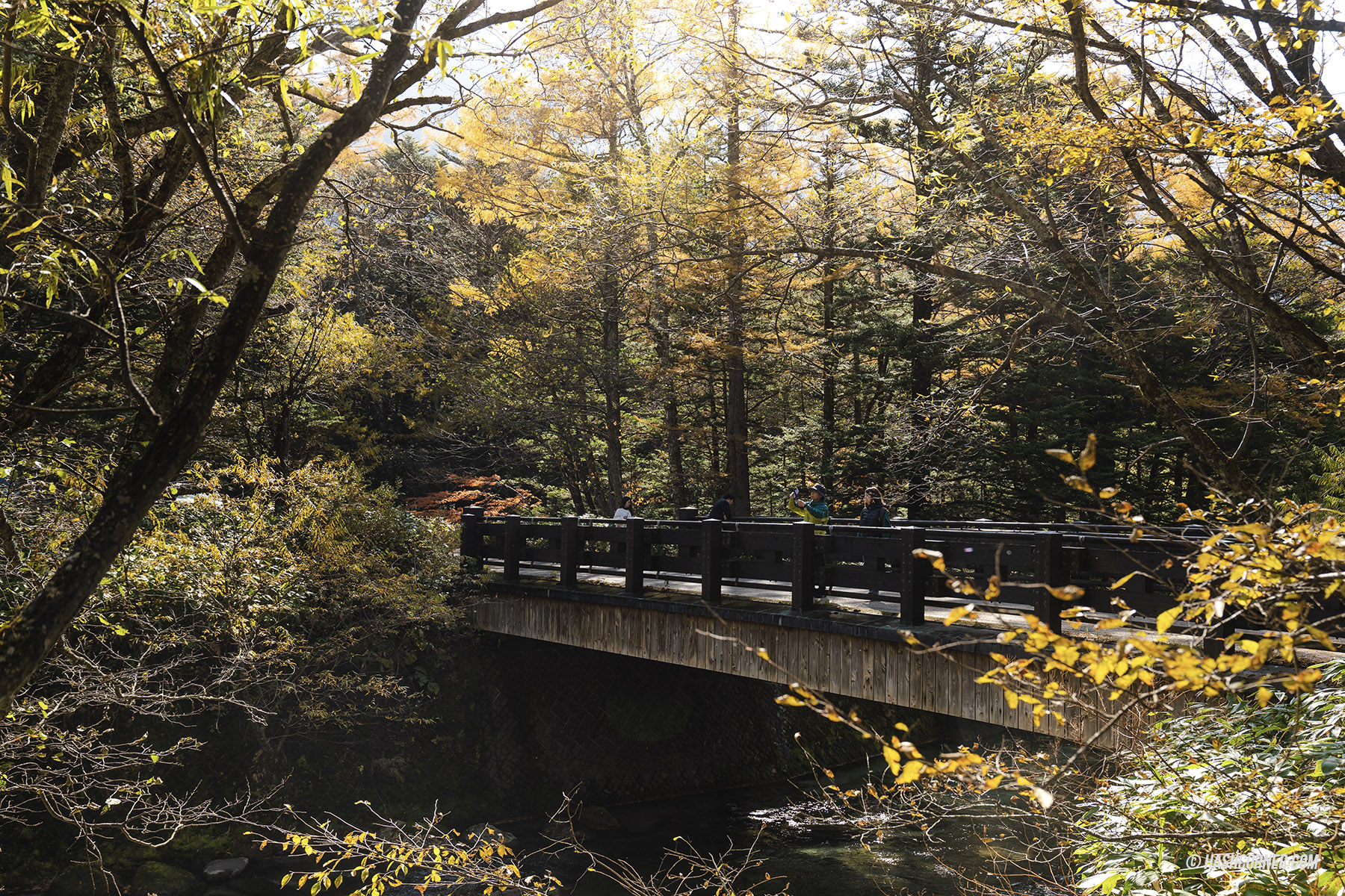 รีวิว คามิโคจิ (Kamikochi) x นากาโน่ เทือกเขาแอลป์ญี่ปุ่นช่วงฤดูใบไม้ร่วง