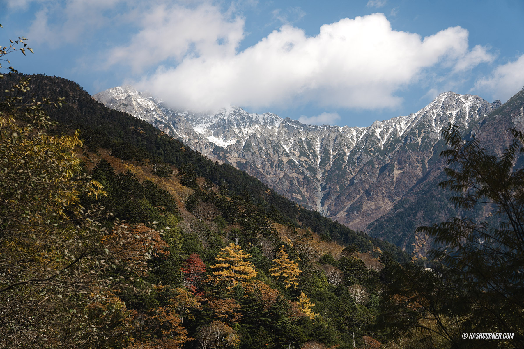 รีวิว คามิโคจิ (Kamikochi) x นากาโน่ เทือกเขาแอลป์ญี่ปุ่นช่วงฤดูใบไม้ร่วง