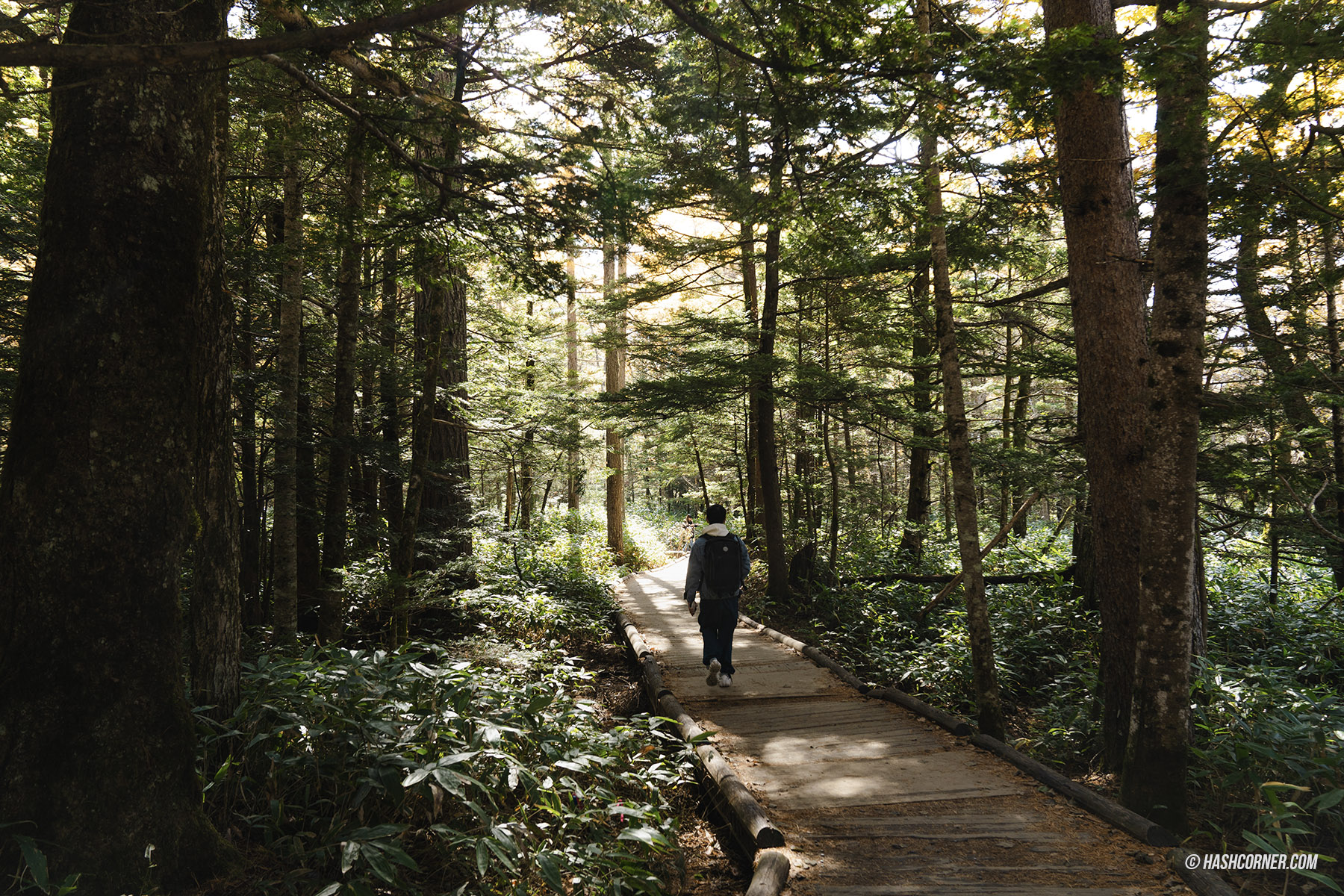 รีวิว คามิโคจิ (Kamikochi) x นากาโน่ เทือกเขาแอลป์ญี่ปุ่นช่วงฤดูใบไม้ร่วง