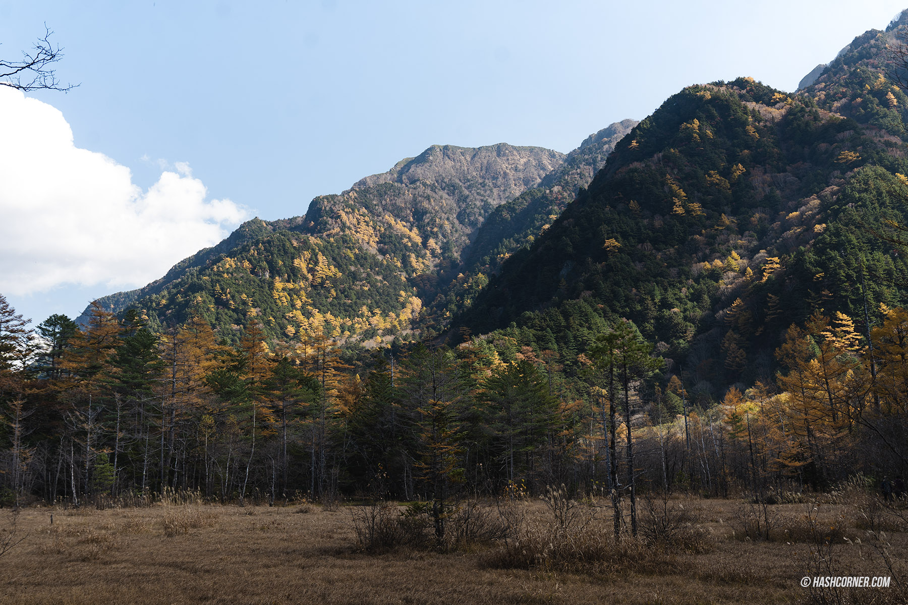 รีวิว คามิโคจิ (Kamikochi) x นากาโน่ เทือกเขาแอลป์ญี่ปุ่นช่วงฤดูใบไม้ร่วง