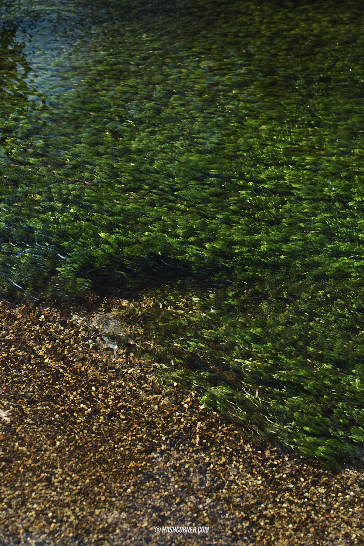 รีวิว คามิโคจิ (Kamikochi) x นากาโน่ เทือกเขาแอลป์ญี่ปุ่นช่วงฤดูใบไม้ร่วง