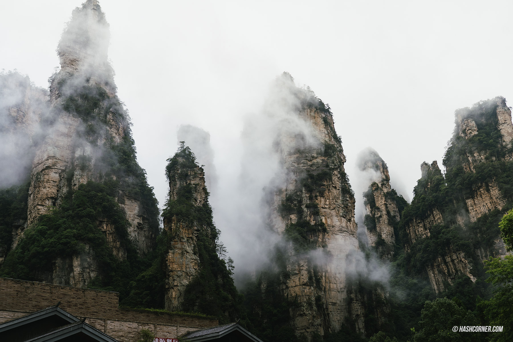 รีวิว อุทยานจางเจียเจี้ย (Zhangjiajie) x จีน เที่ยวหุบเขาอวรตาร