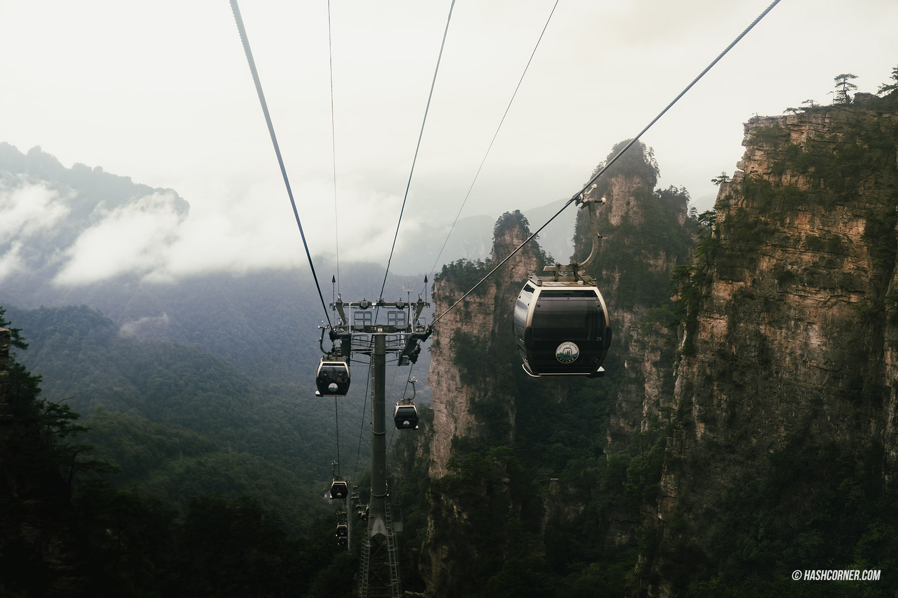 รีวิว อุทยานจางเจียเจี้ย (Zhangjiajie) x จีน เที่ยวหุบเขาอวรตาร