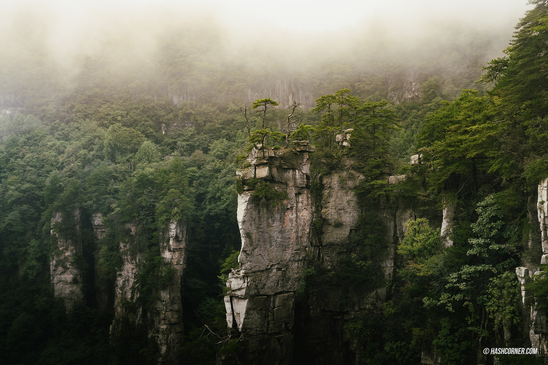รีวิว อุทยานจางเจียเจี้ย (Zhangjiajie) x จีน เที่ยวหุบเขาอวรตาร