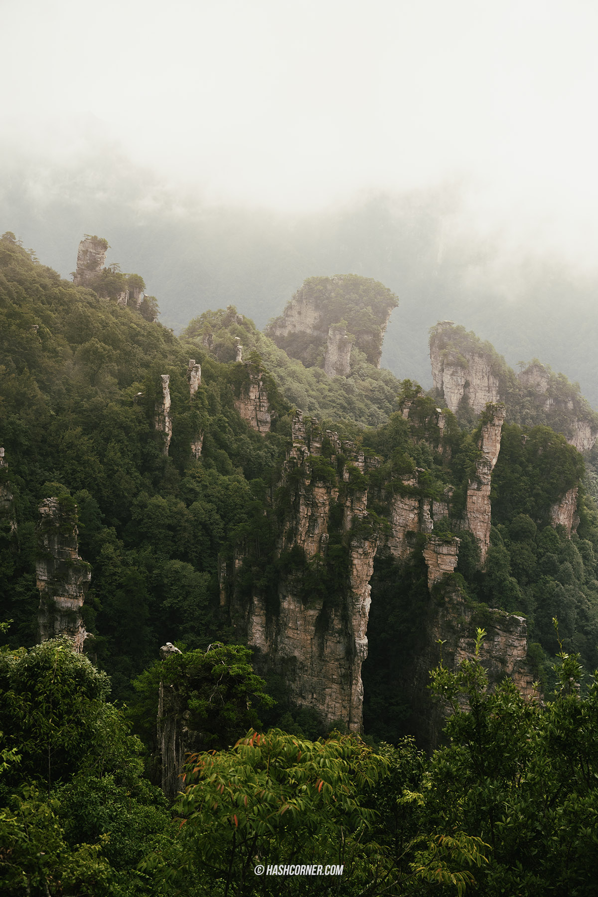 รีวิว อุทยานจางเจียเจี้ย (Zhangjiajie) x จีน เที่ยวหุบเขาอวรตาร