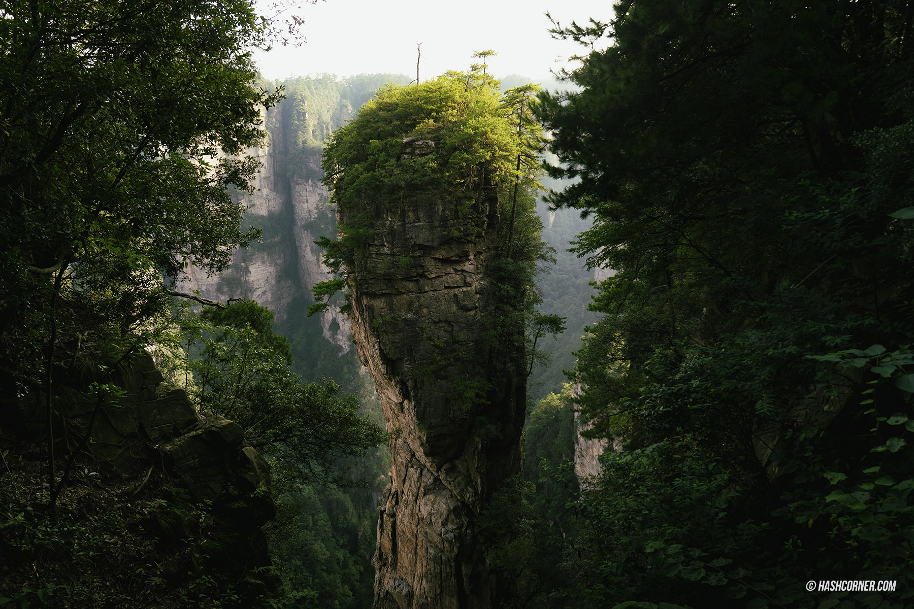 รีวิว เขาเทียนเหมินซาน (Tianmenshan) x จางเจียเจี้ย ประตูสวรรค์ศักดิสิทธิ์