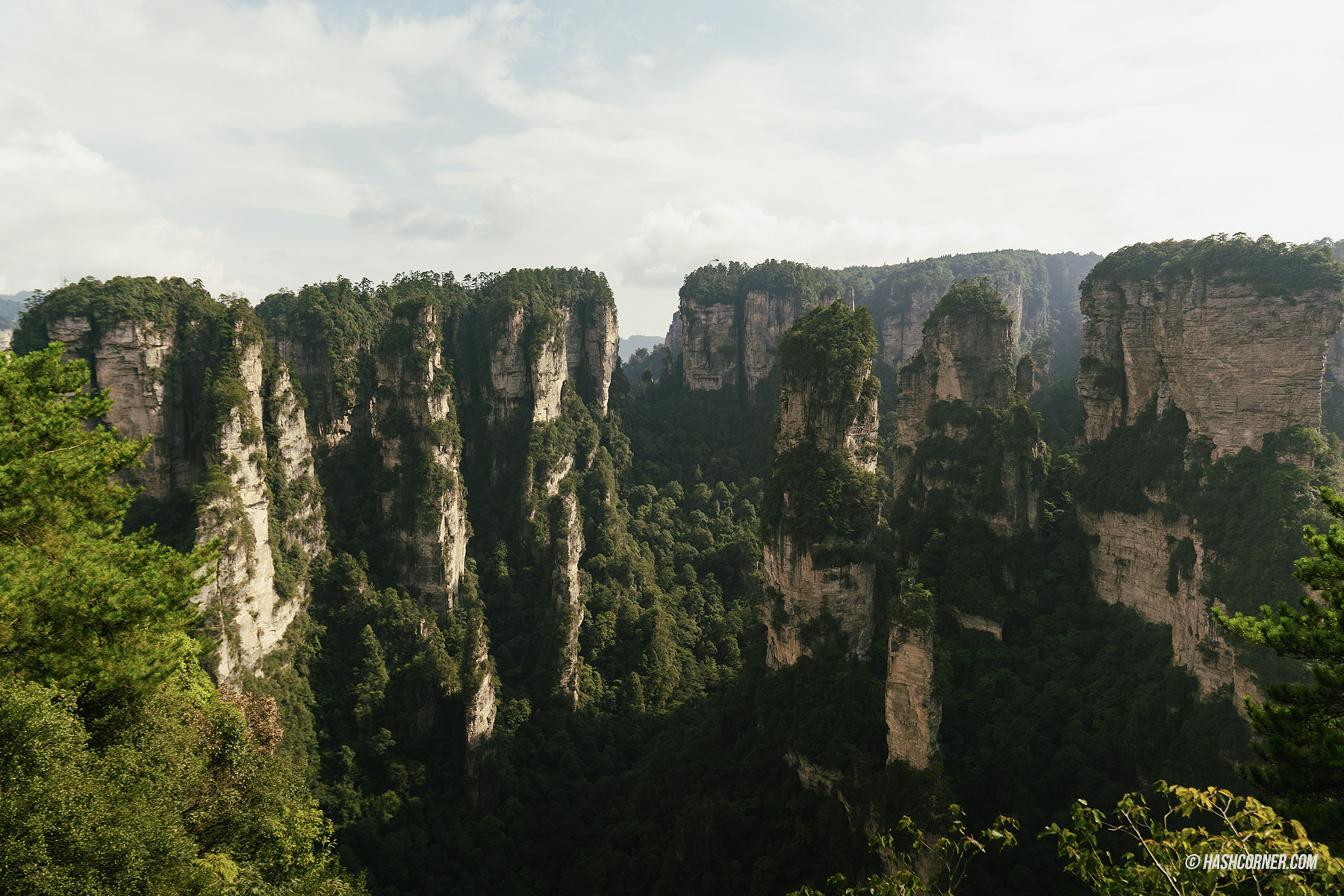 รีวิว อุทยานจางเจียเจี้ย (Zhangjiajie) x จีน เที่ยวหุบเขาอวรตาร