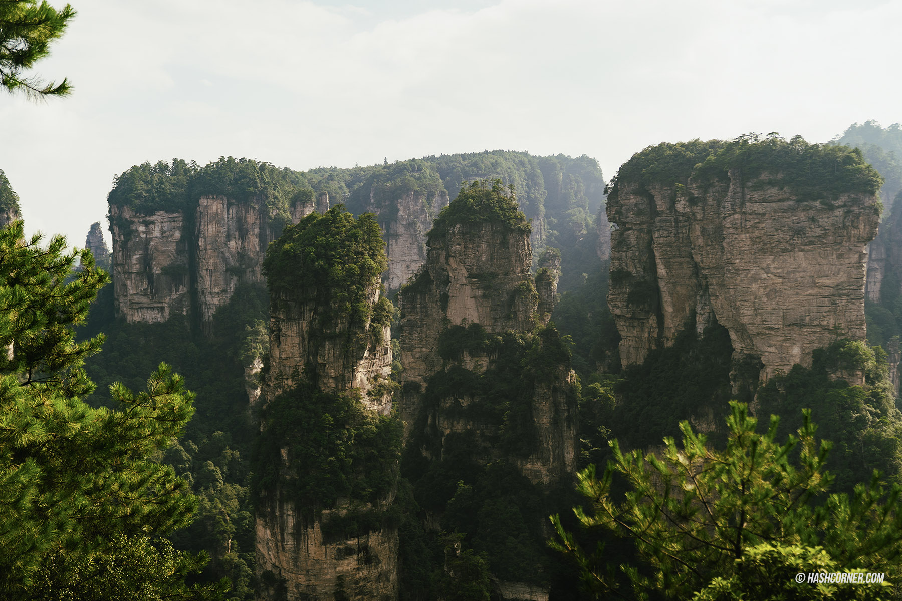 รีวิว อุทยานจางเจียเจี้ย (Zhangjiajie) x จีน เที่ยวหุบเขาอวรตาร