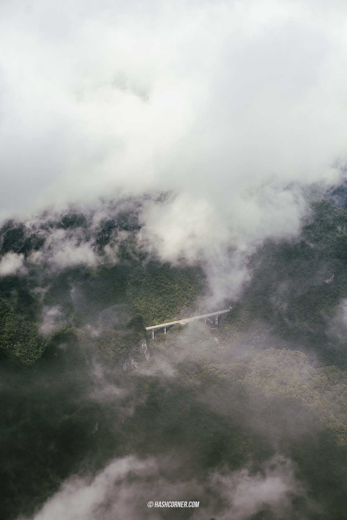 รีวิว เขาเทียนเหมินซาน (Tianmenshan) x จางเจียเจี้ย ประตูสวรรค์ศักดิสิทธิ์