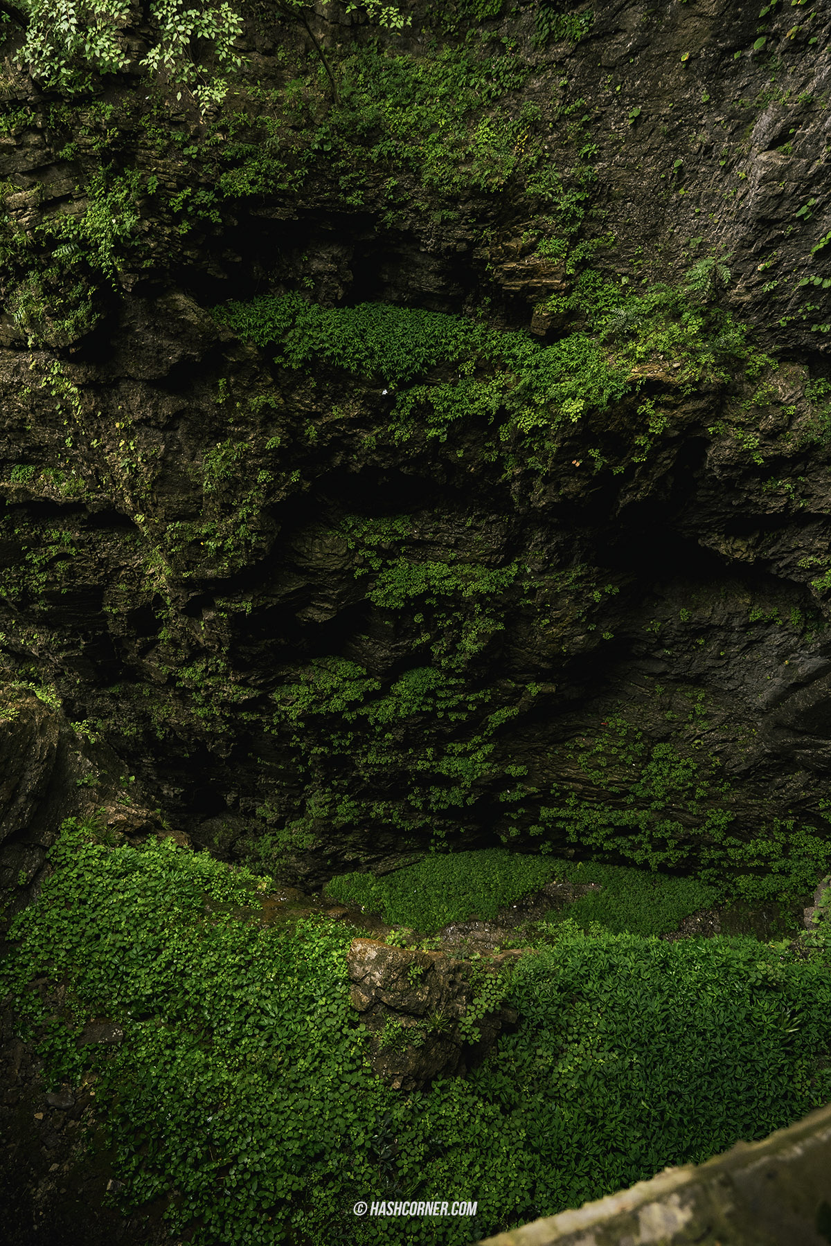 รีวิว เขาเทียนเหมินซาน (Tianmenshan) x จางเจียเจี้ย ประตูสวรรค์ศักดิสิทธิ์