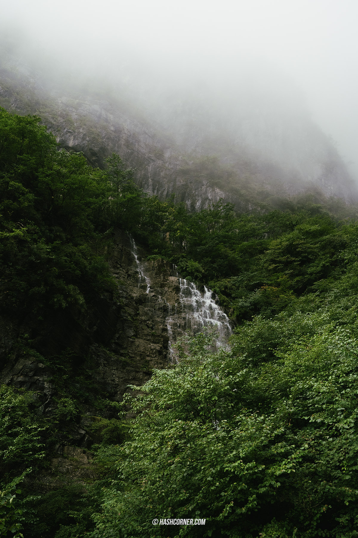 รีวิว เขาเทียนเหมินซาน (Tianmenshan) x จางเจียเจี้ย ประตูสวรรค์ศักดิสิทธิ์