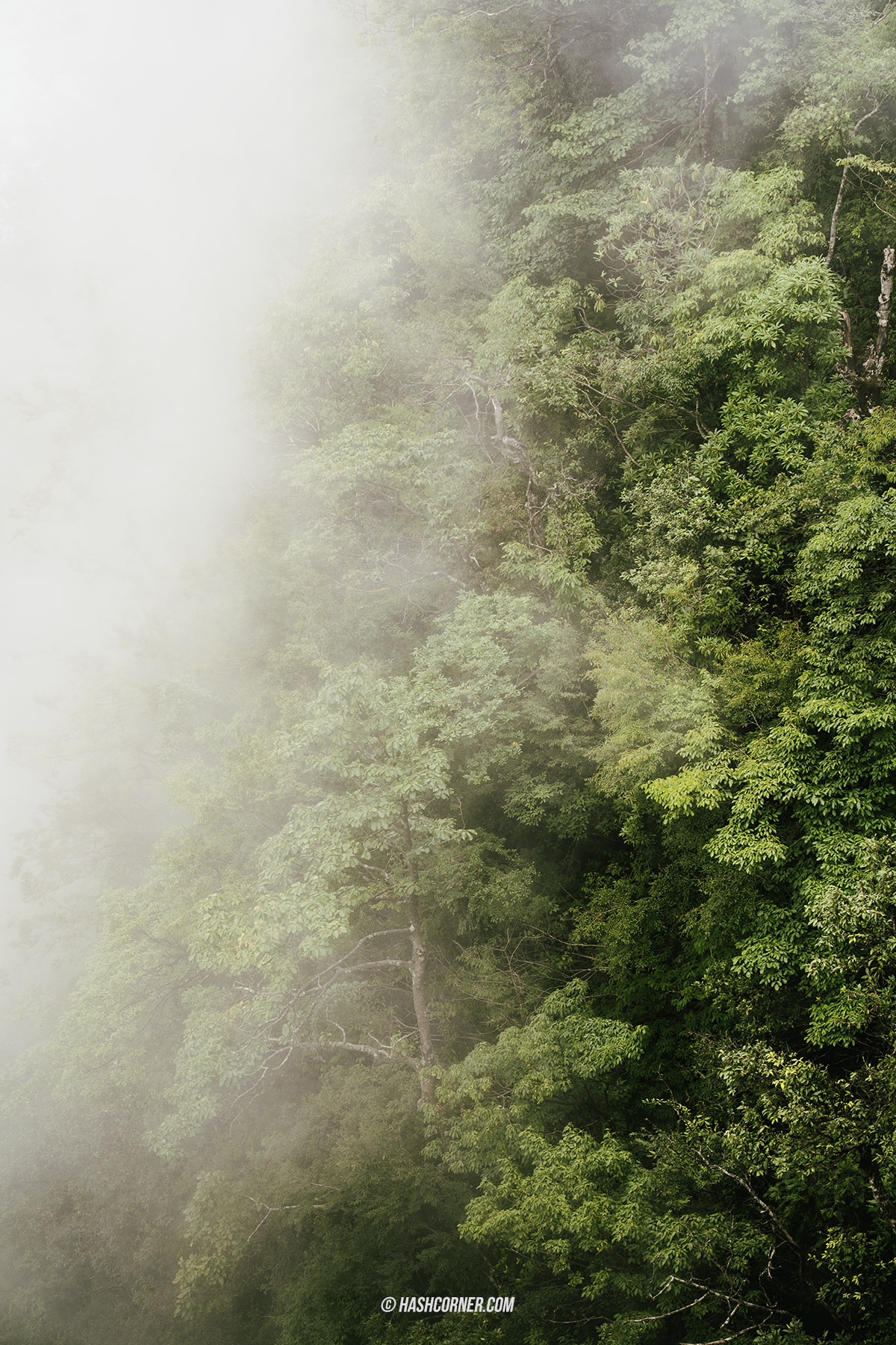 รีวิว เขาเทียนเหมินซาน (Tianmenshan) x จางเจียเจี้ย ประตูสวรรค์ศักดิสิทธิ์